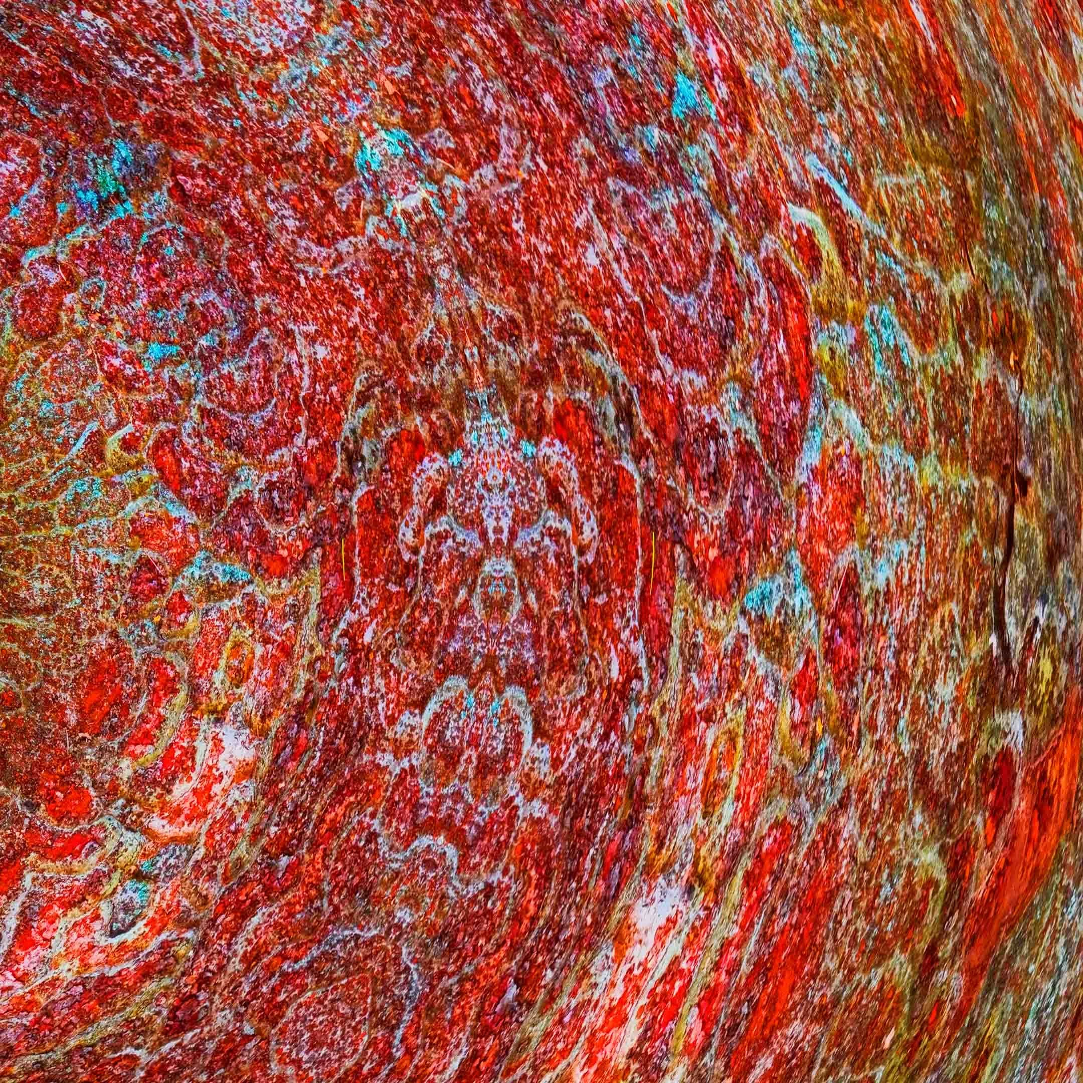 close-up detail
