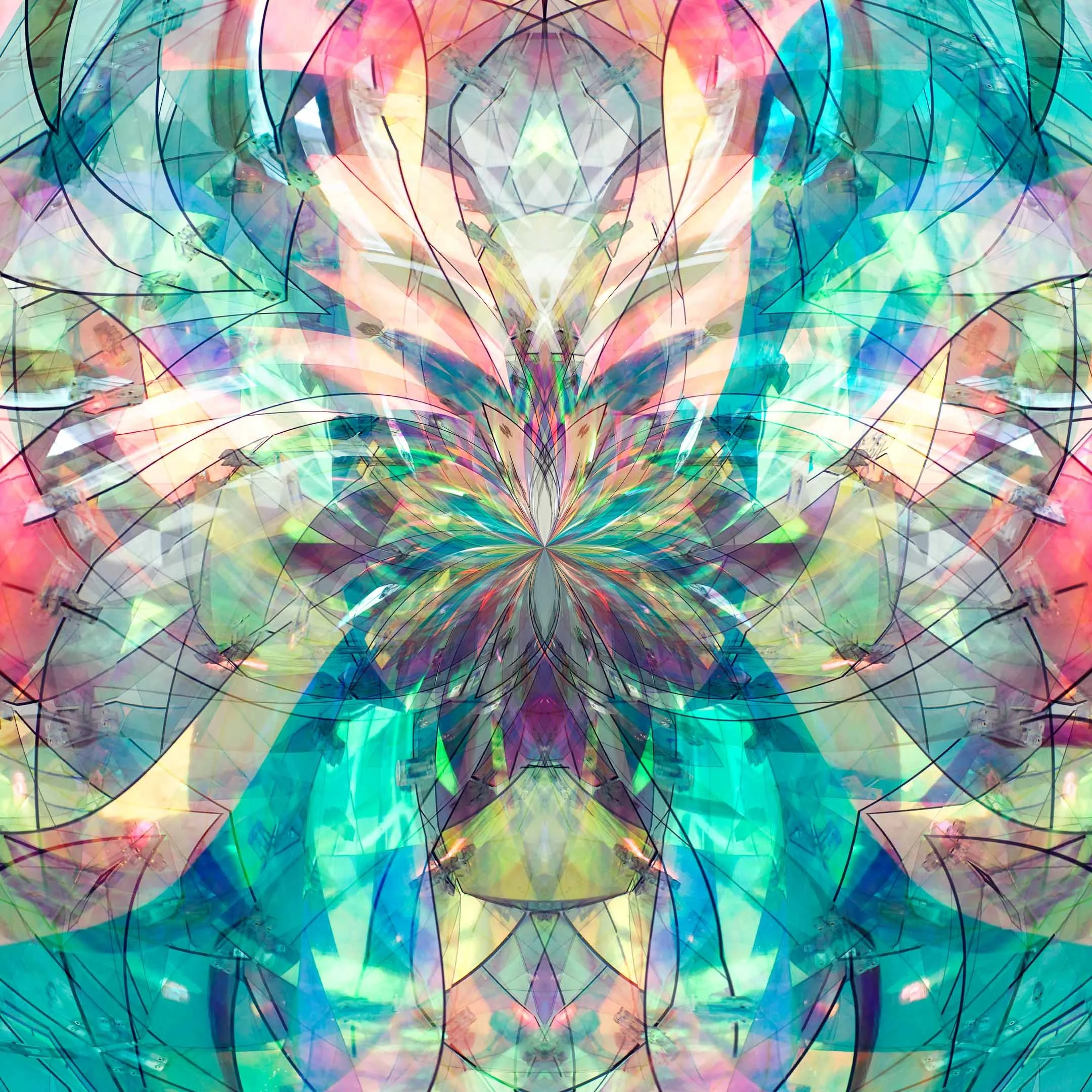 close up detail
