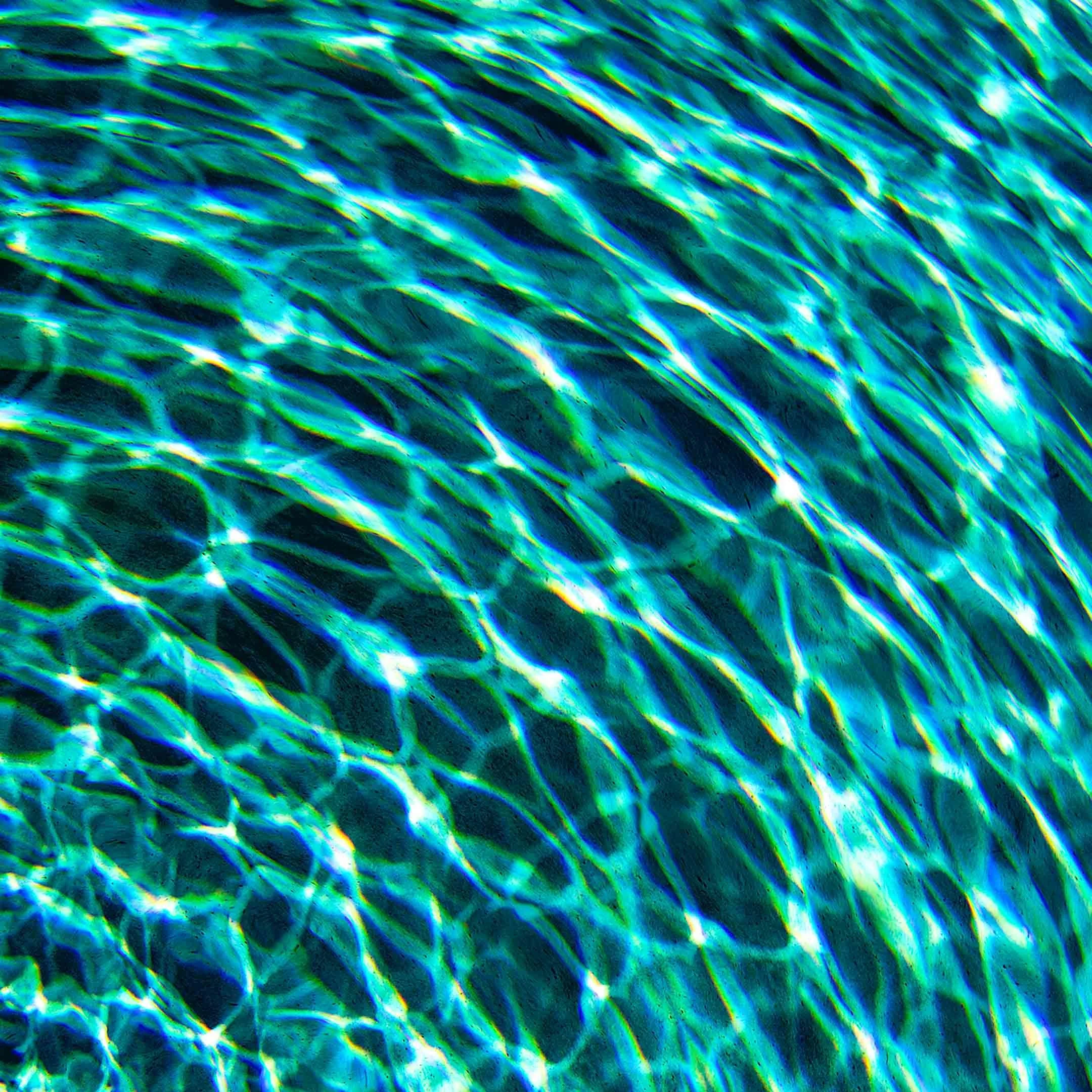 close-up detail