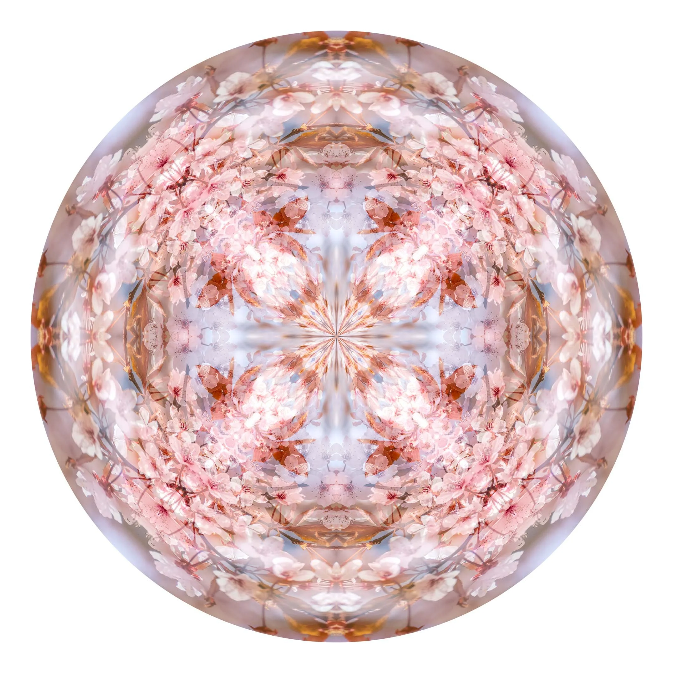 Sakura I