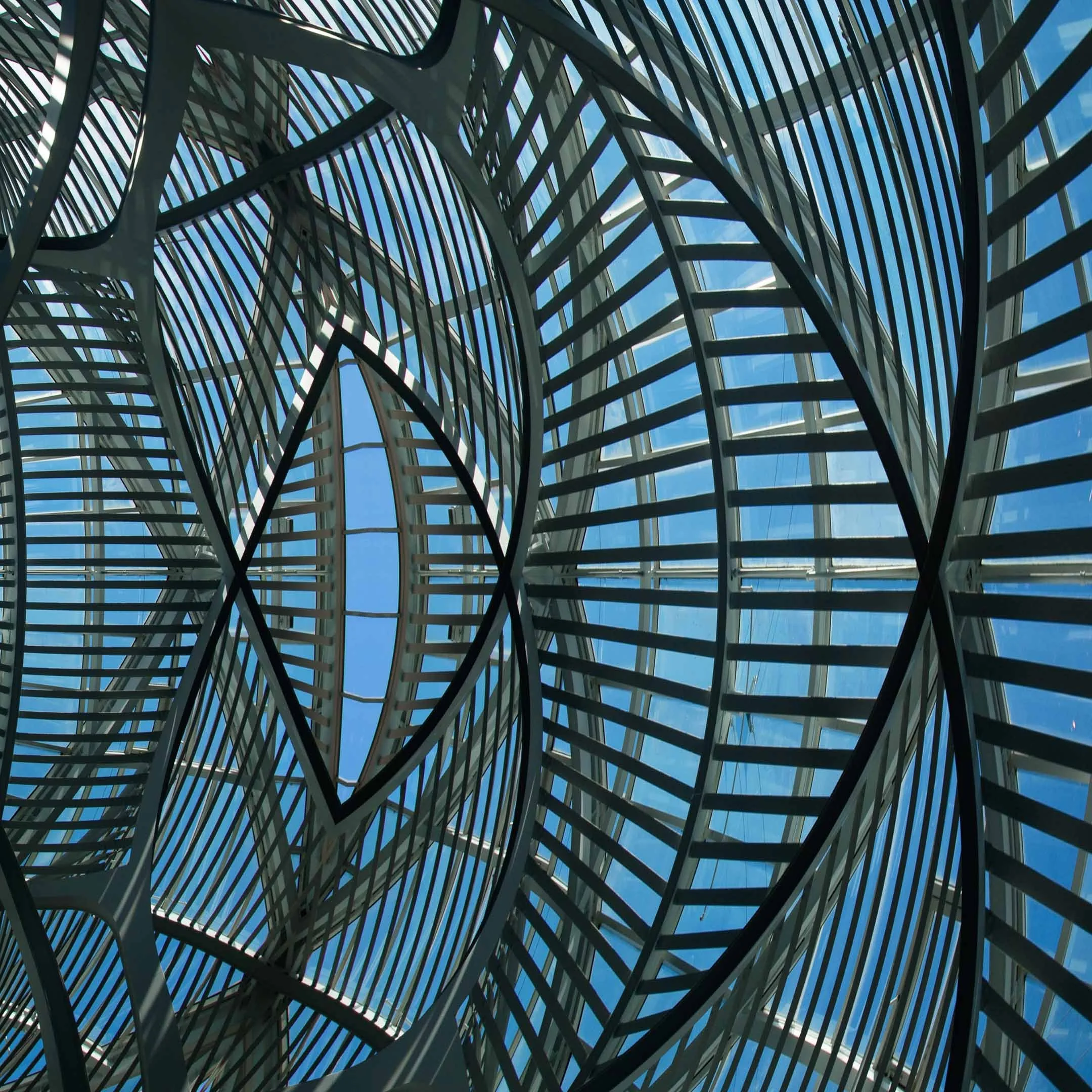 close-up detail