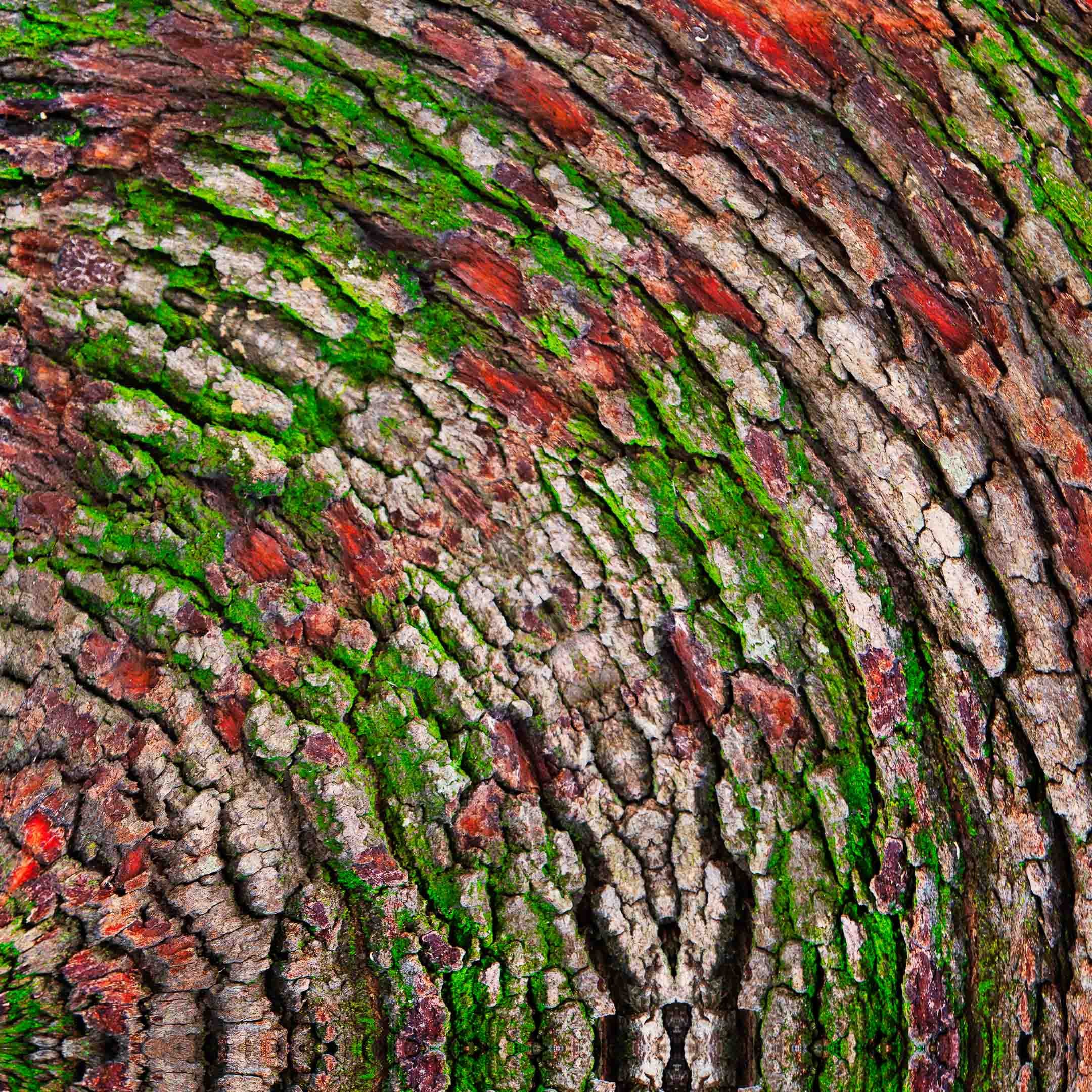 close-up detail