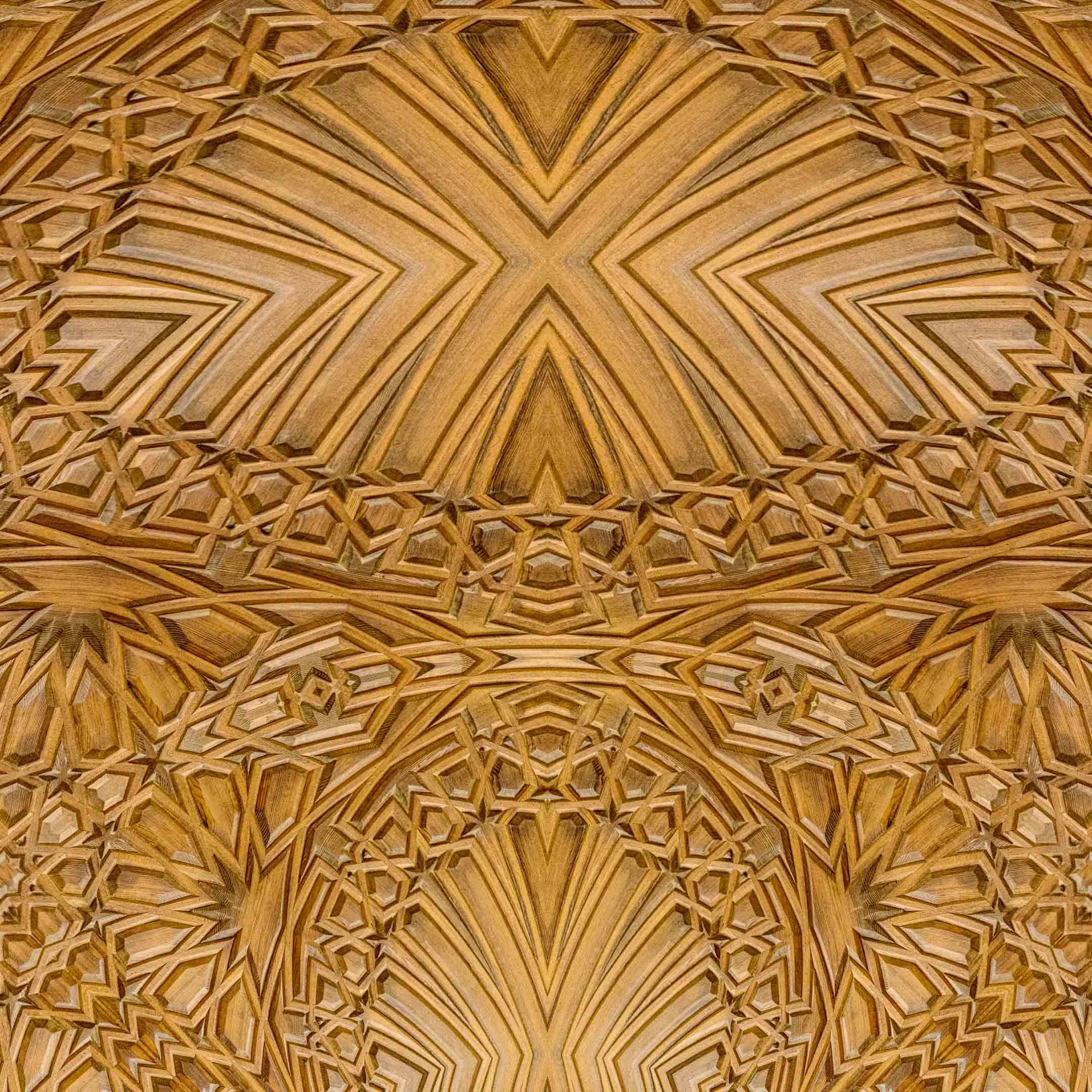 close-up detail
