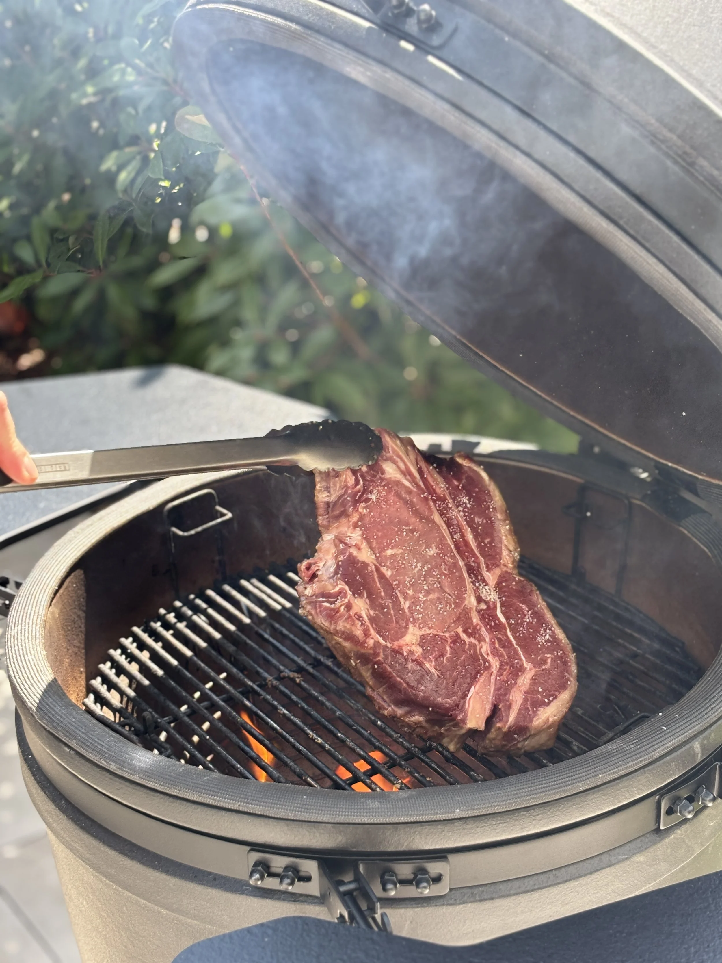 barbecue kamodo politec