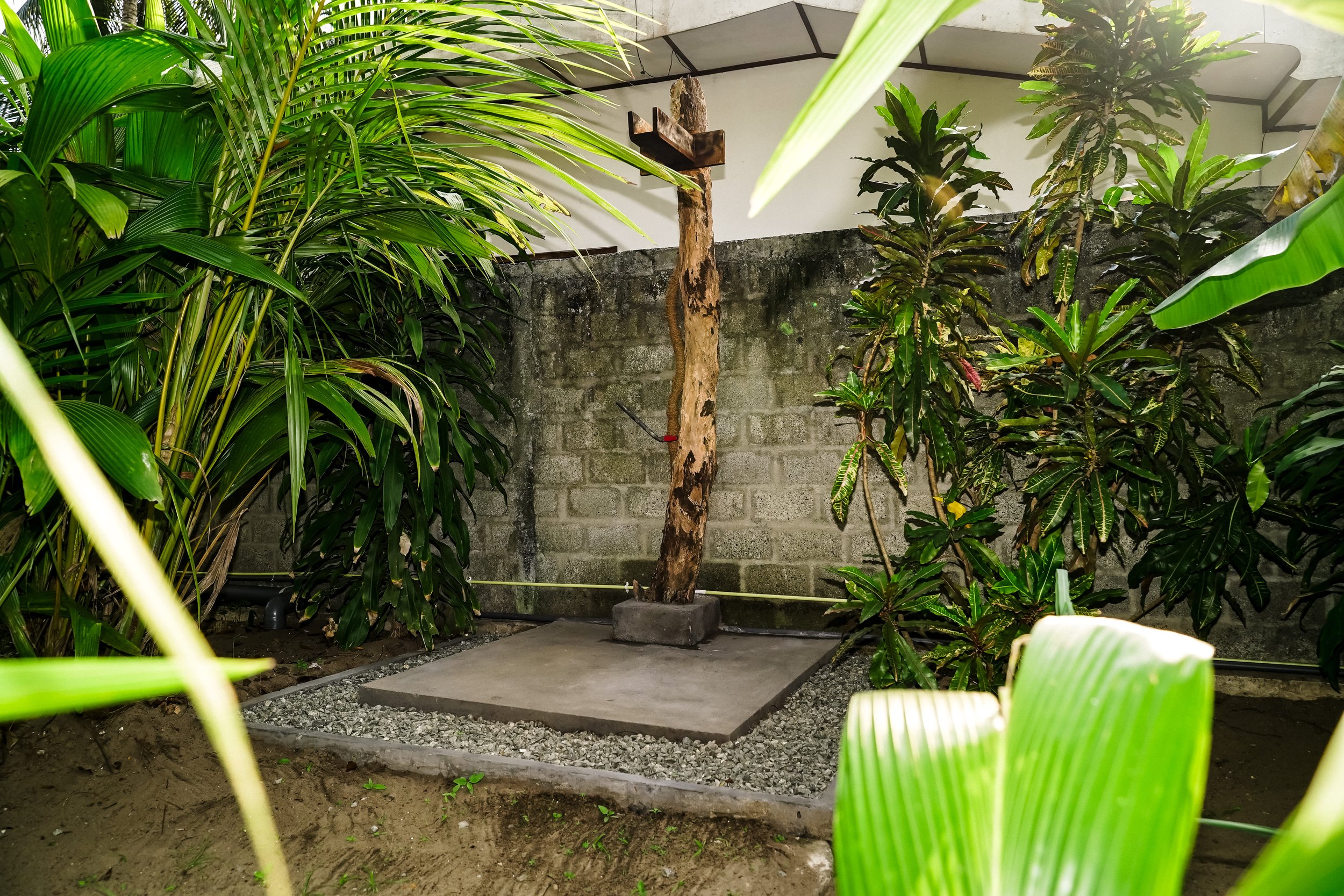 _DSC0183.jpeg
