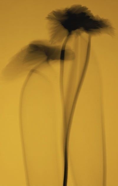 dfa35d05b38eb76803ba90707865a671.jpg