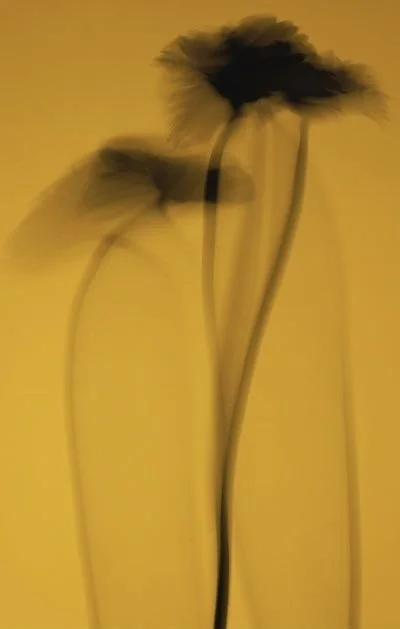dfa35d05b38eb76803ba90707865a671.jpg