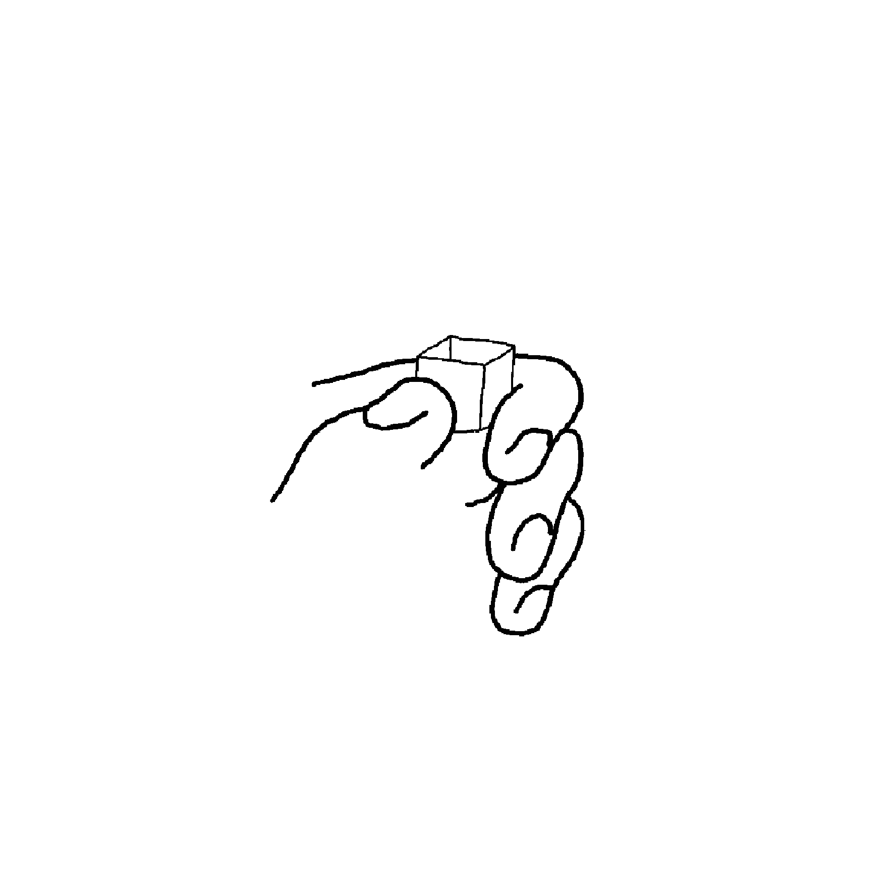 IMG_9116.GIF