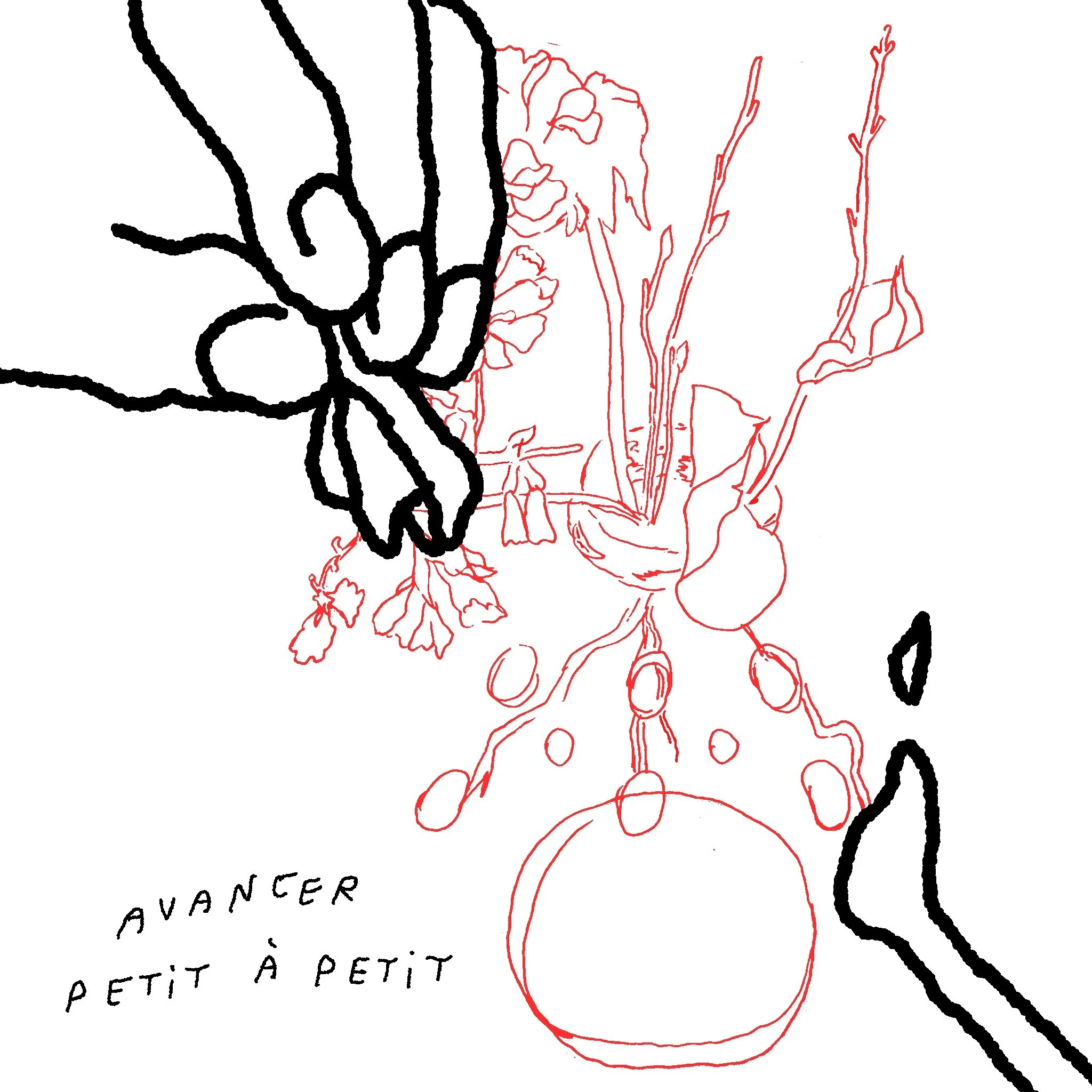 vie feu 2.JPG