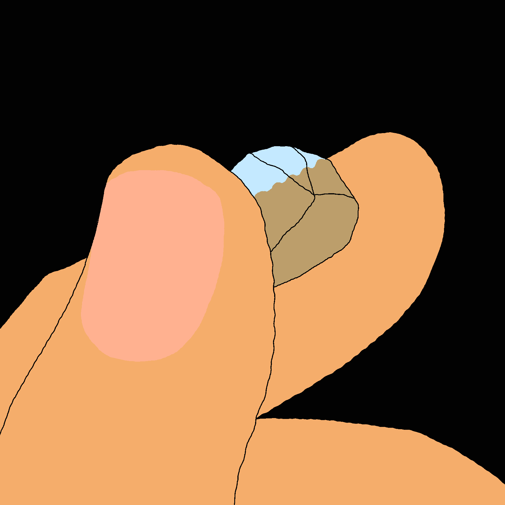 IMG_9103.GIF