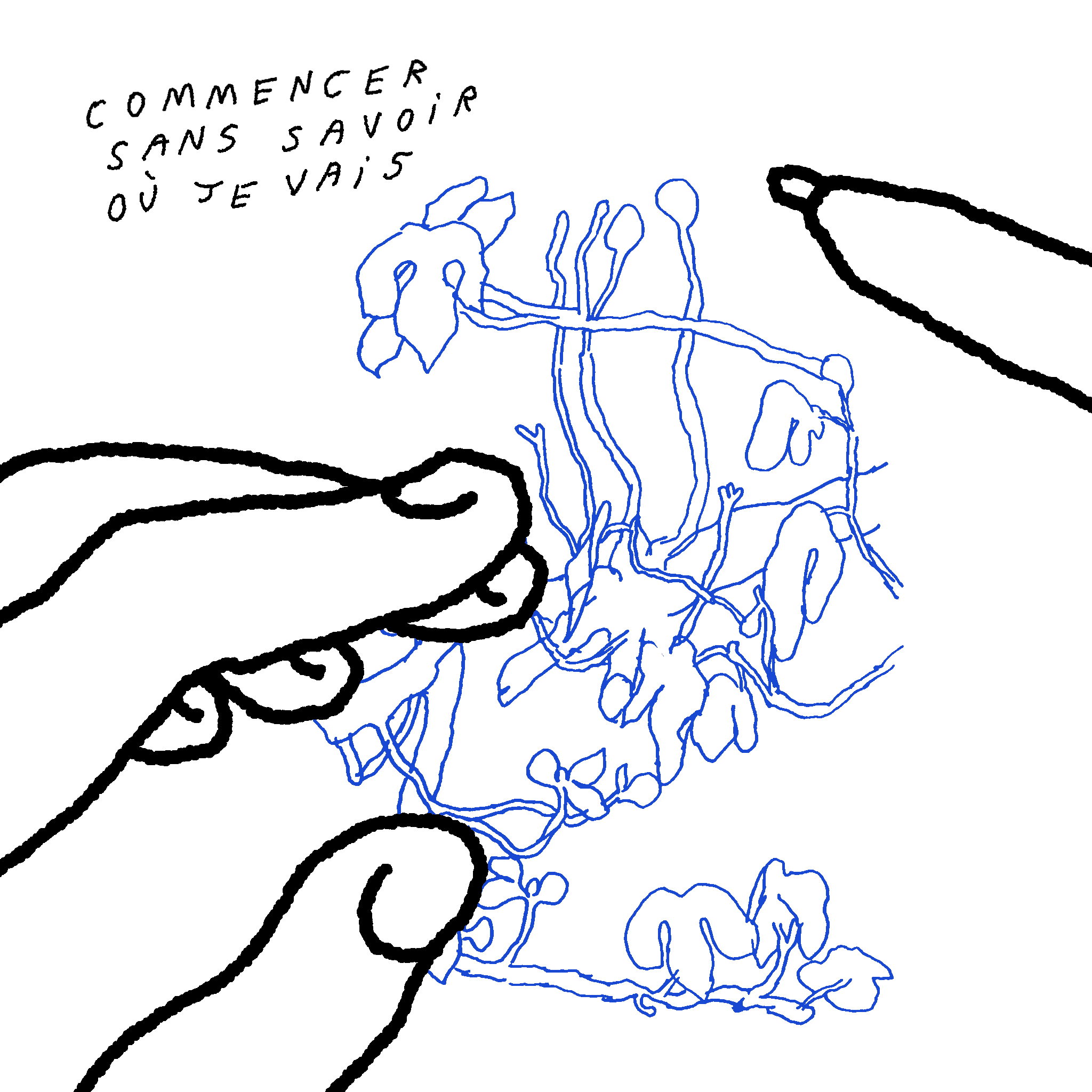 dessin lettre 2.PNG