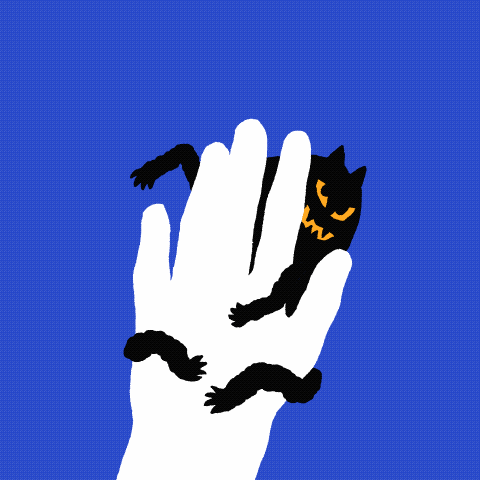 animations