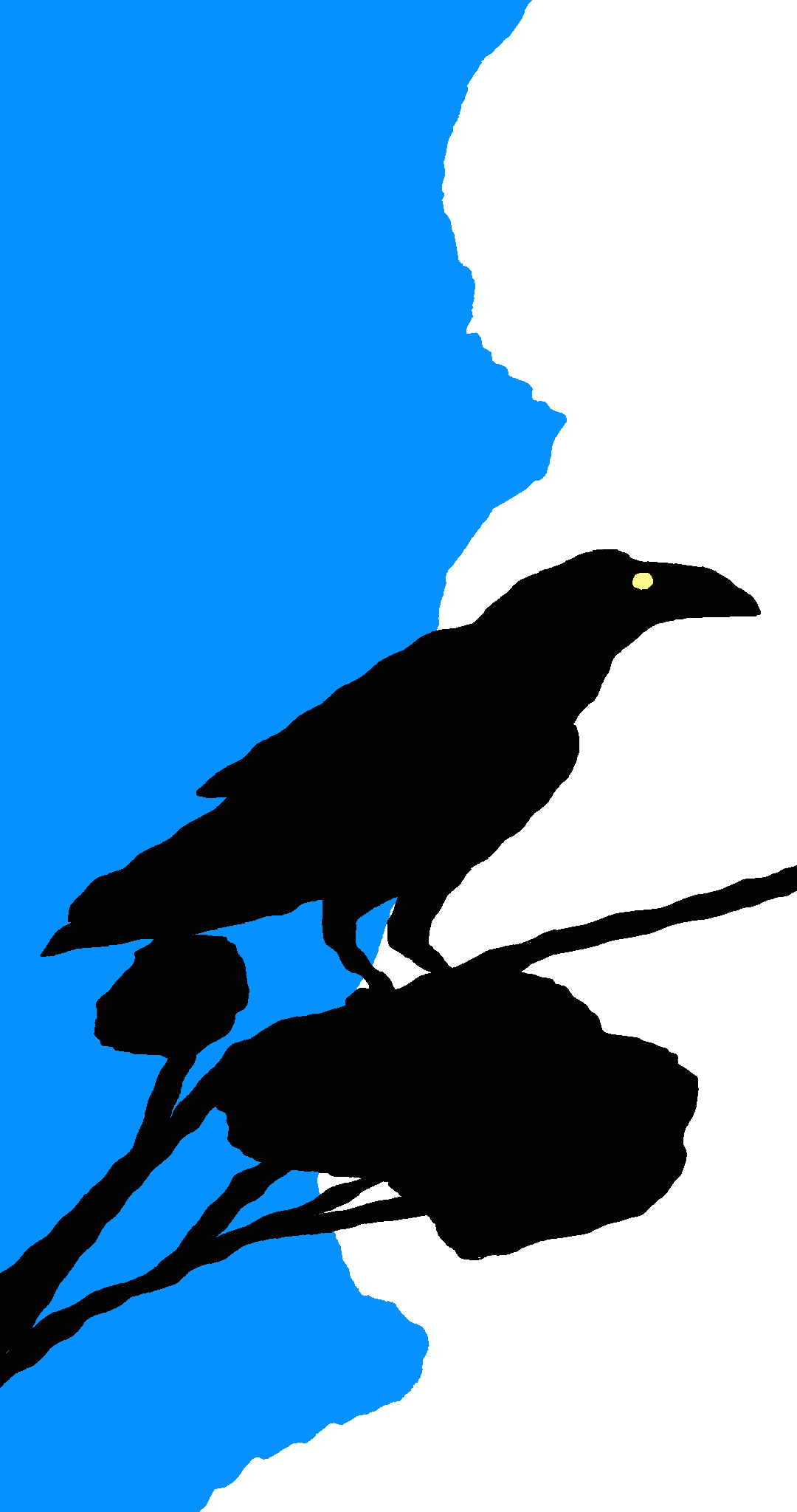 IMG_9083.GIF