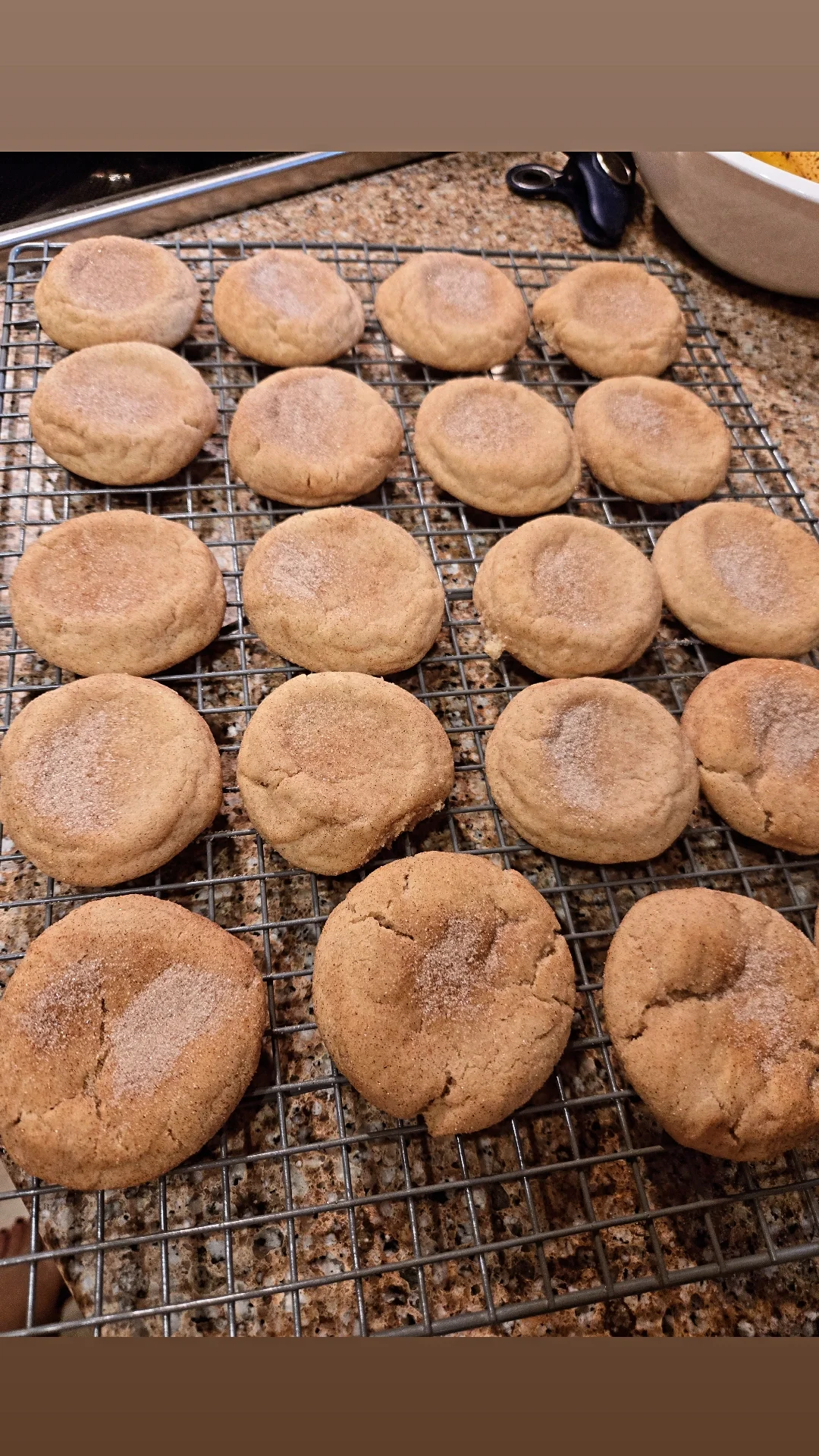 Snickerdoodle Cookies