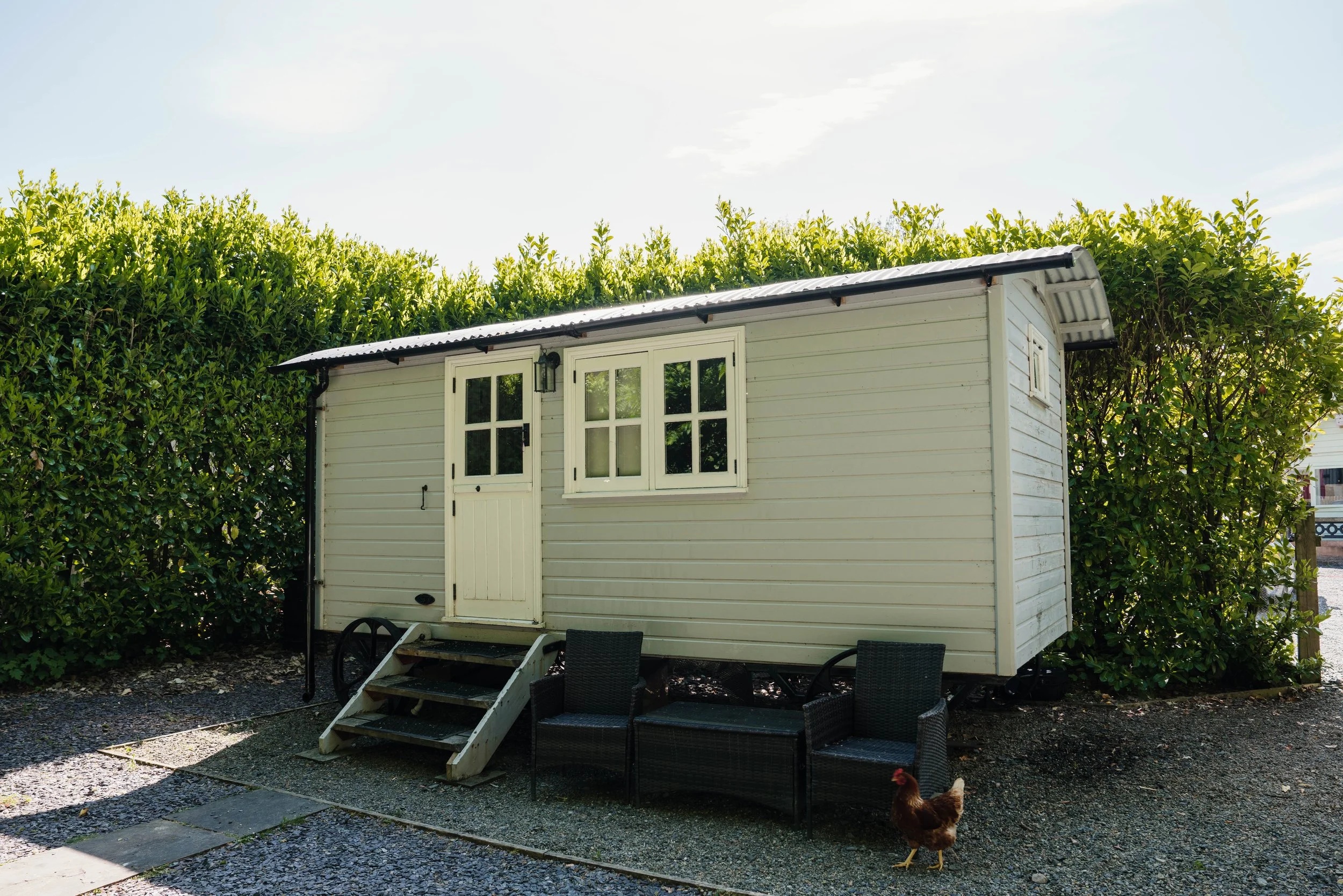 A small white wooden house with a window and a door, set against green bushes and a clear sky. There are black chairs and a chicken in the foreground.