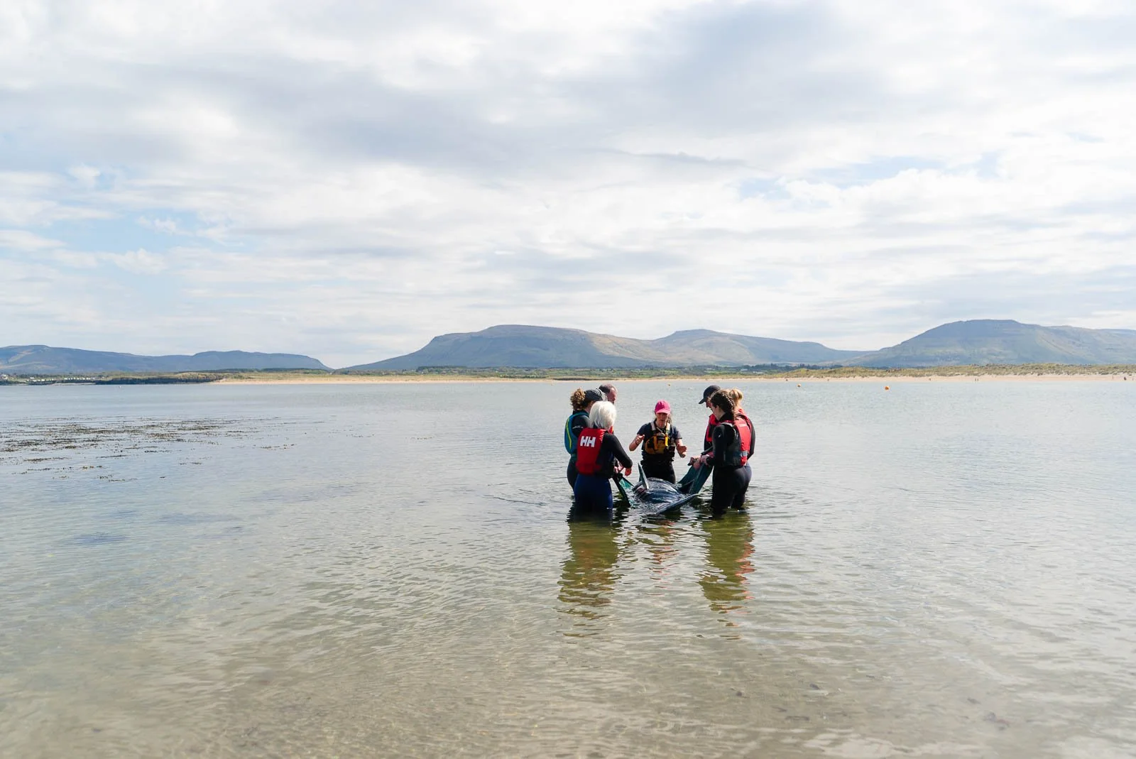 Mark O'Conor Donegal Bay Conservation Trust 6.jpg