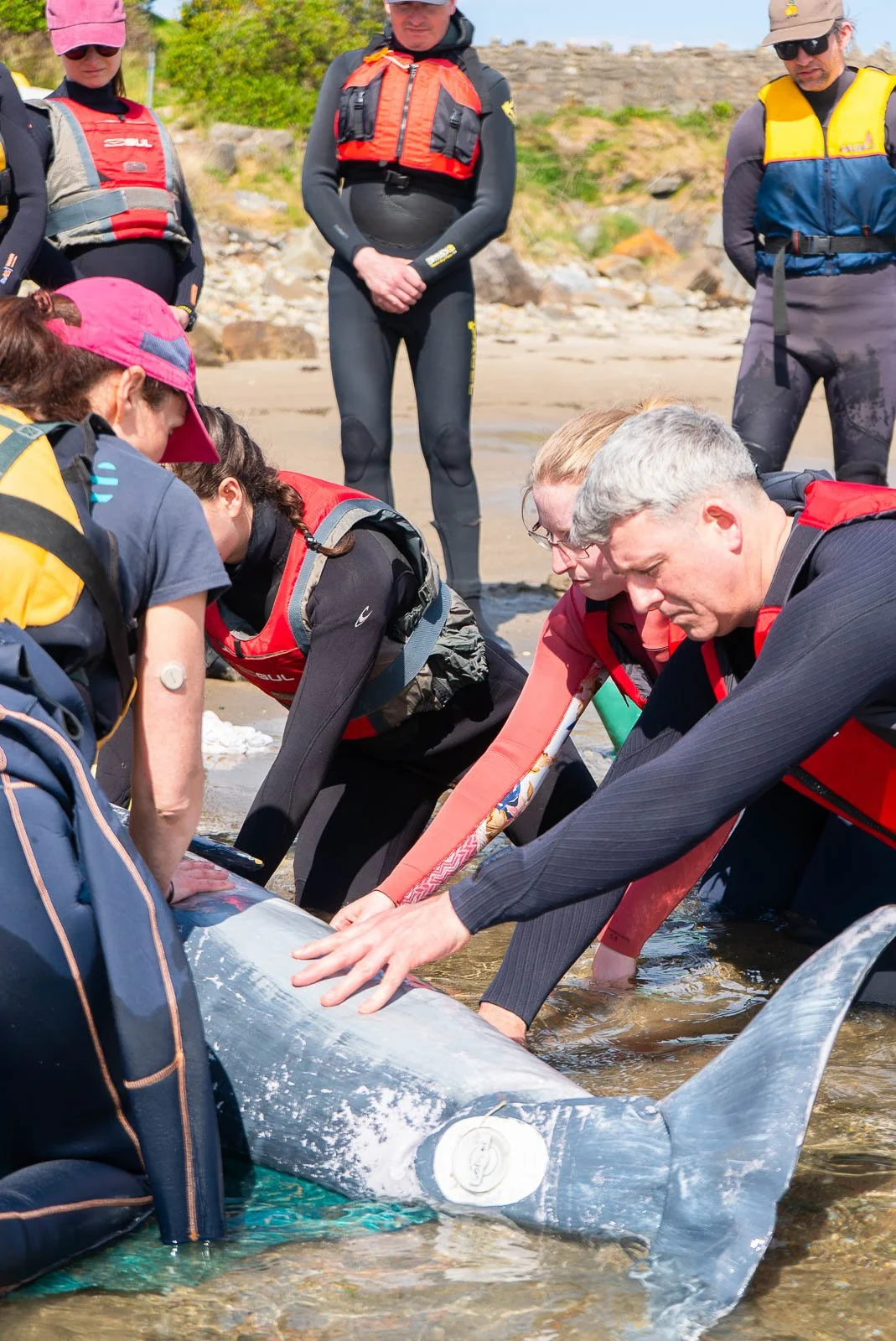 Mark O'Conor Donegal Bay Conservation Trust 23.jpg