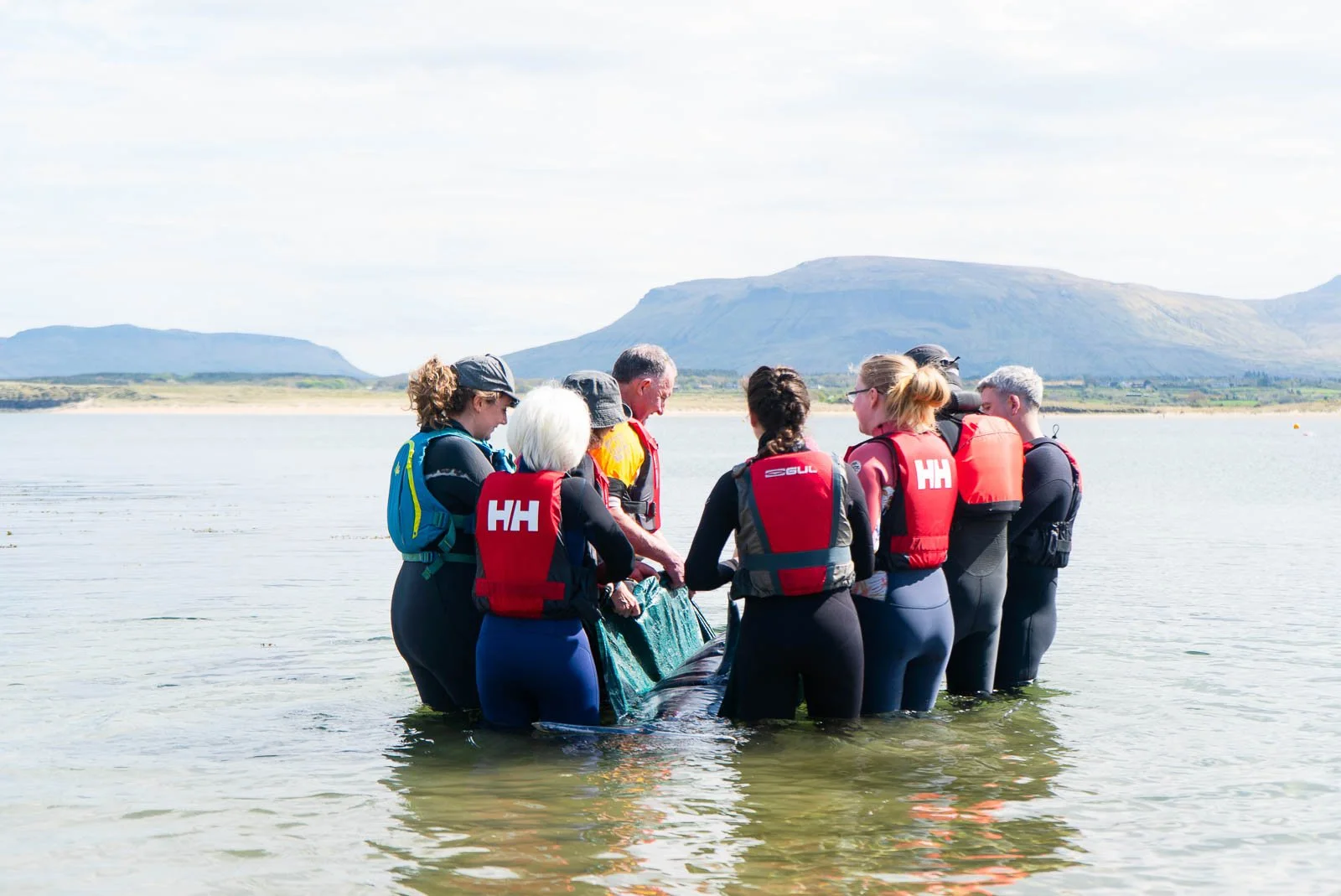 Mark O'Conor Donegal Bay Conservation Trust 24.jpg