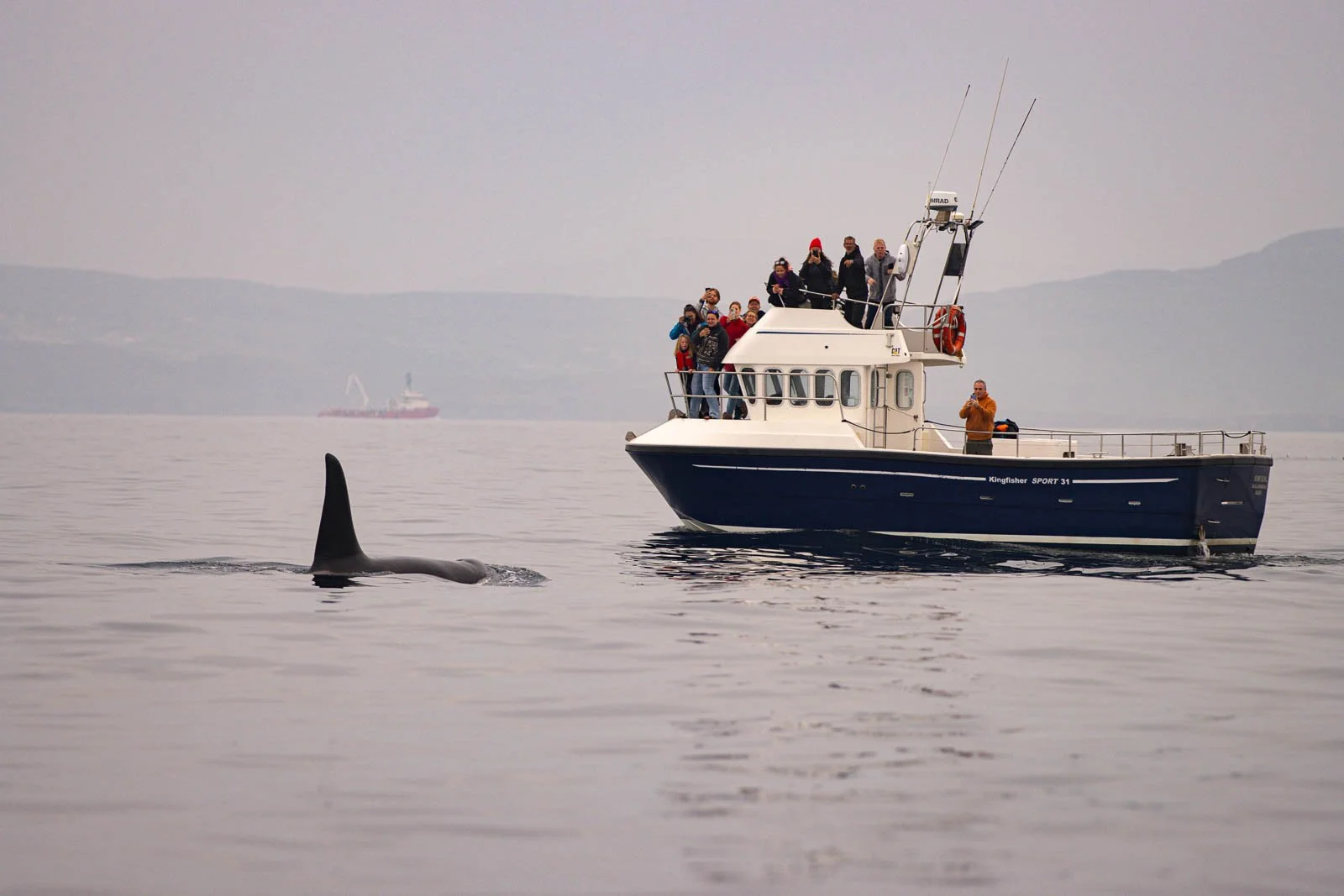 Mark O'Conor Donegal Bay Conservation Trust 34.jpg