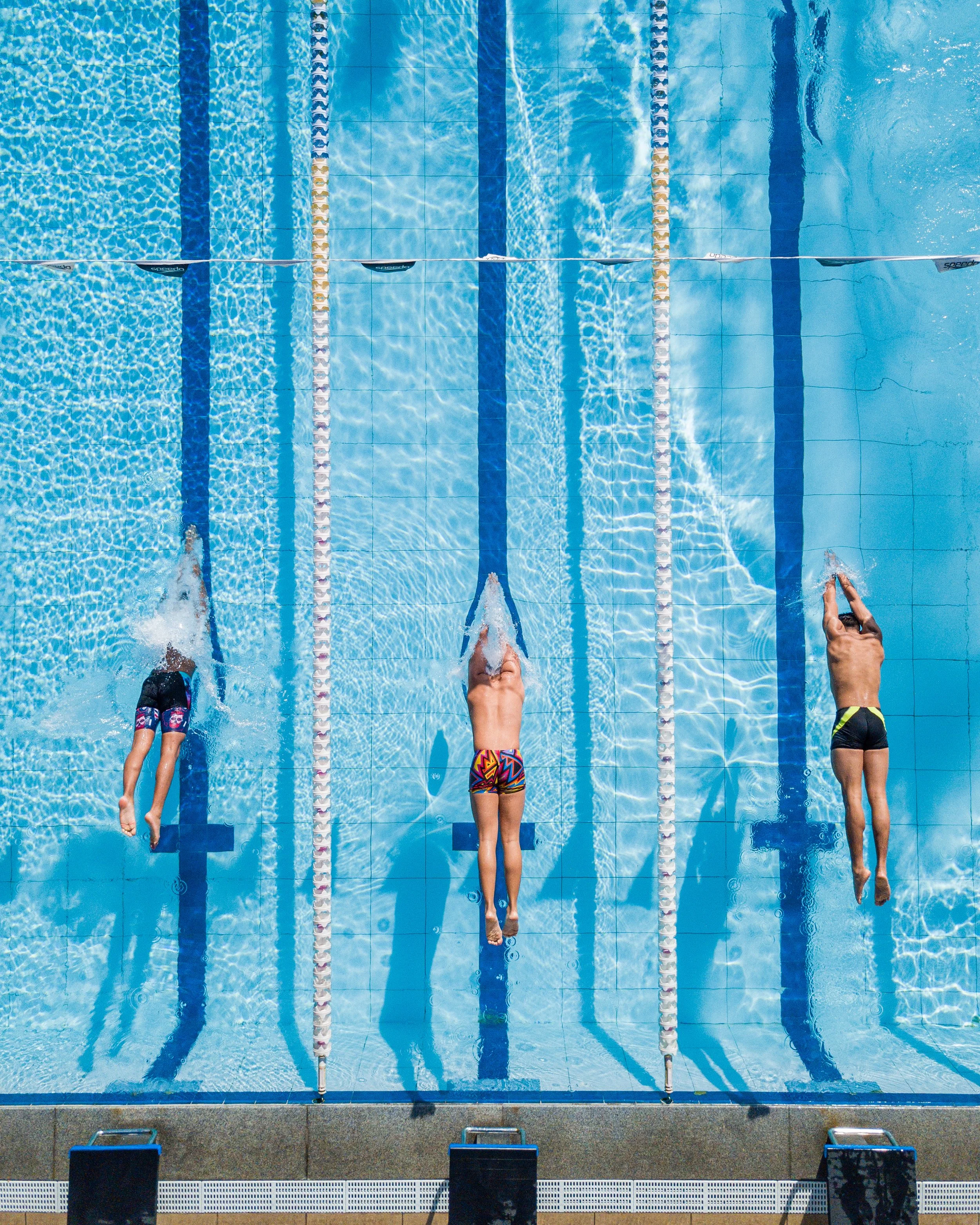 Swimmers diving into a swimming pool from starting blocks, with lane dividers and clear blue water.