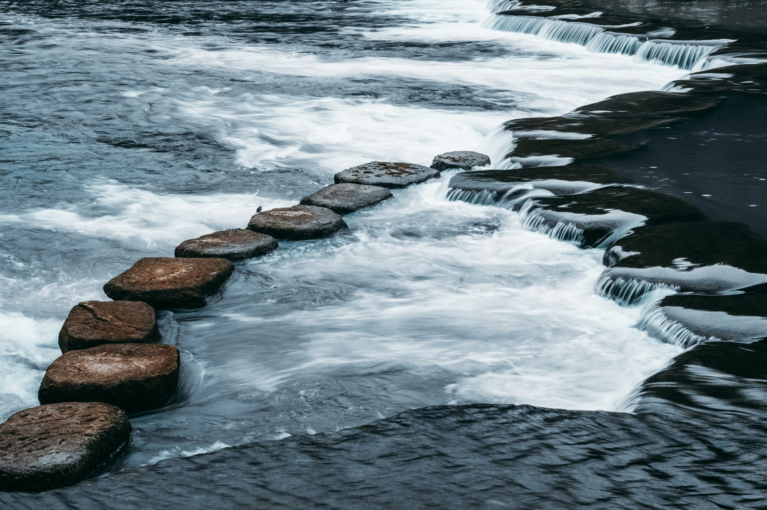 Stream with stepping stones and cascading water over rocks.