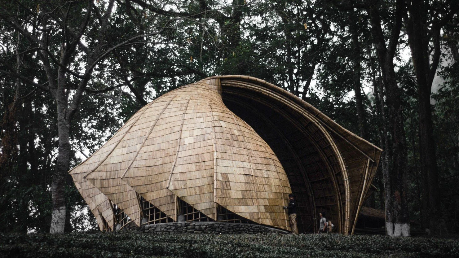Copy of QX Design_Makaibari Tea Pavillion_Photo01.jpg