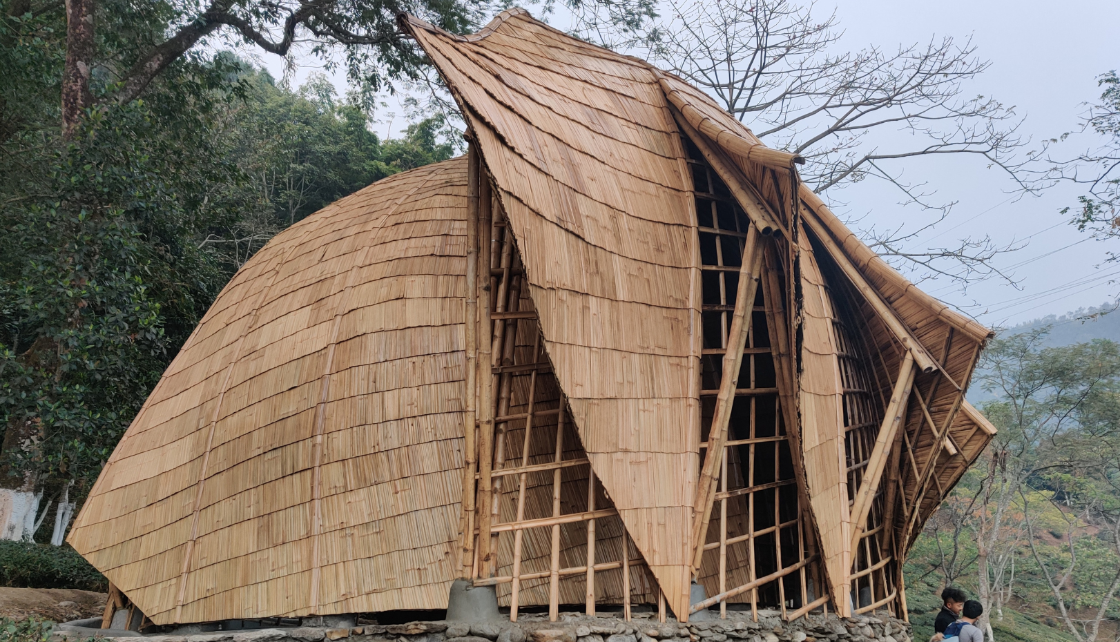 Copy of QX Design_Makaibari Tea Pavillion_Photo05.png