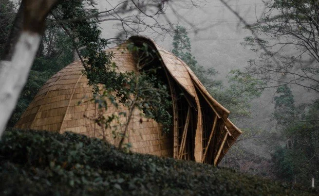 Makaibari Tea Pavillion, Kurseong