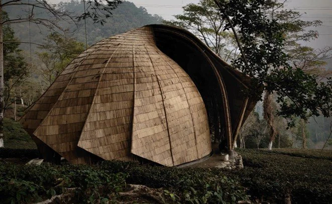 Copy of QX Design_Makaibari Tea Pavillion_Photo03.jpeg