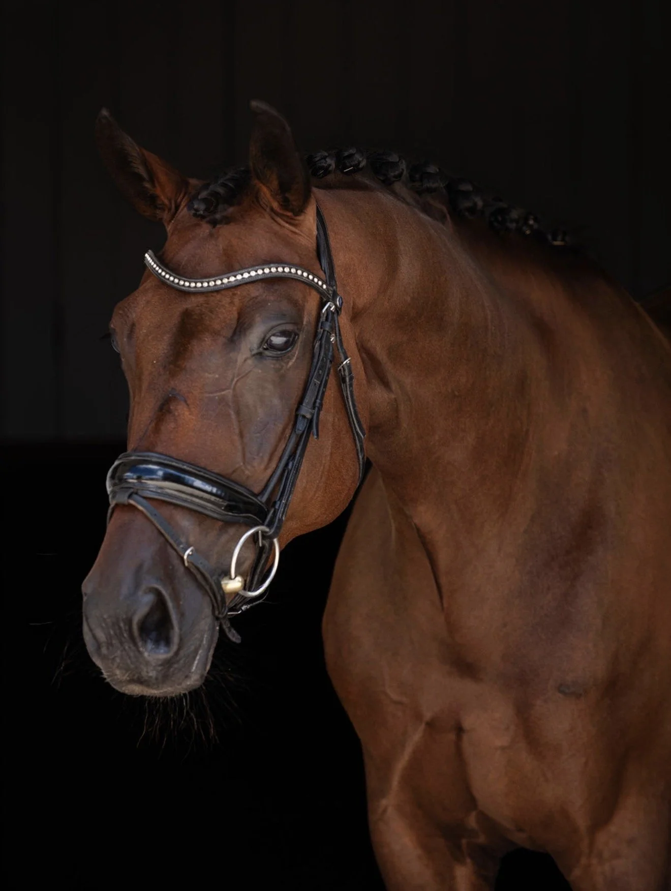 ZSB Queen Romanov (Queenie)