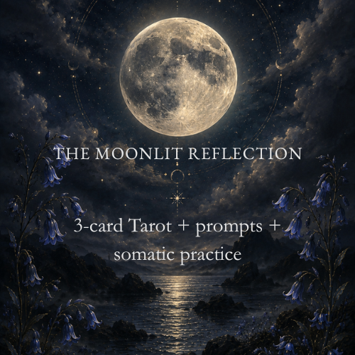 Moonlit Reflection