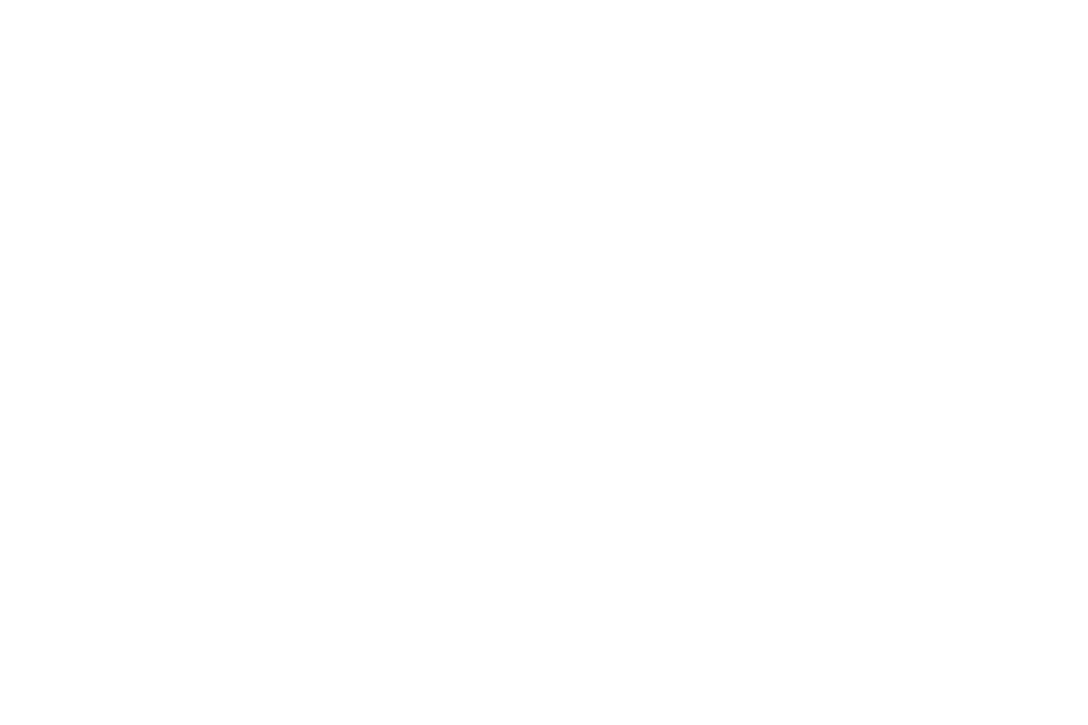 Graphic of a voting ballot with two options, one marked with a check and the other with a cross, divided by a dashed line.