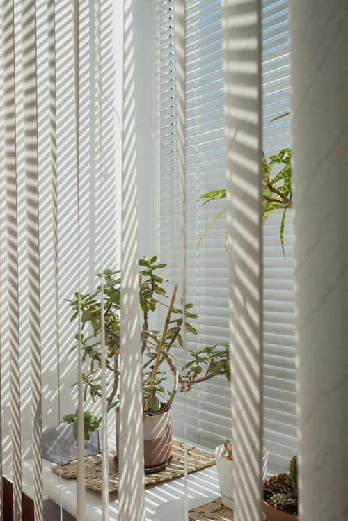 Sunlight casting shadows through white window blinds onto a potted green plant inside a room.