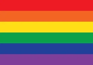 Rainbow pride flag with six horizontal stripes in red, orange, yellow, green, blue, and purple.