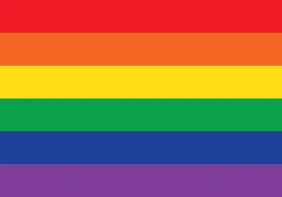 Rainbow LGBT pride flag with horizontal stripes in red, orange, yellow, green, blue, and purple.