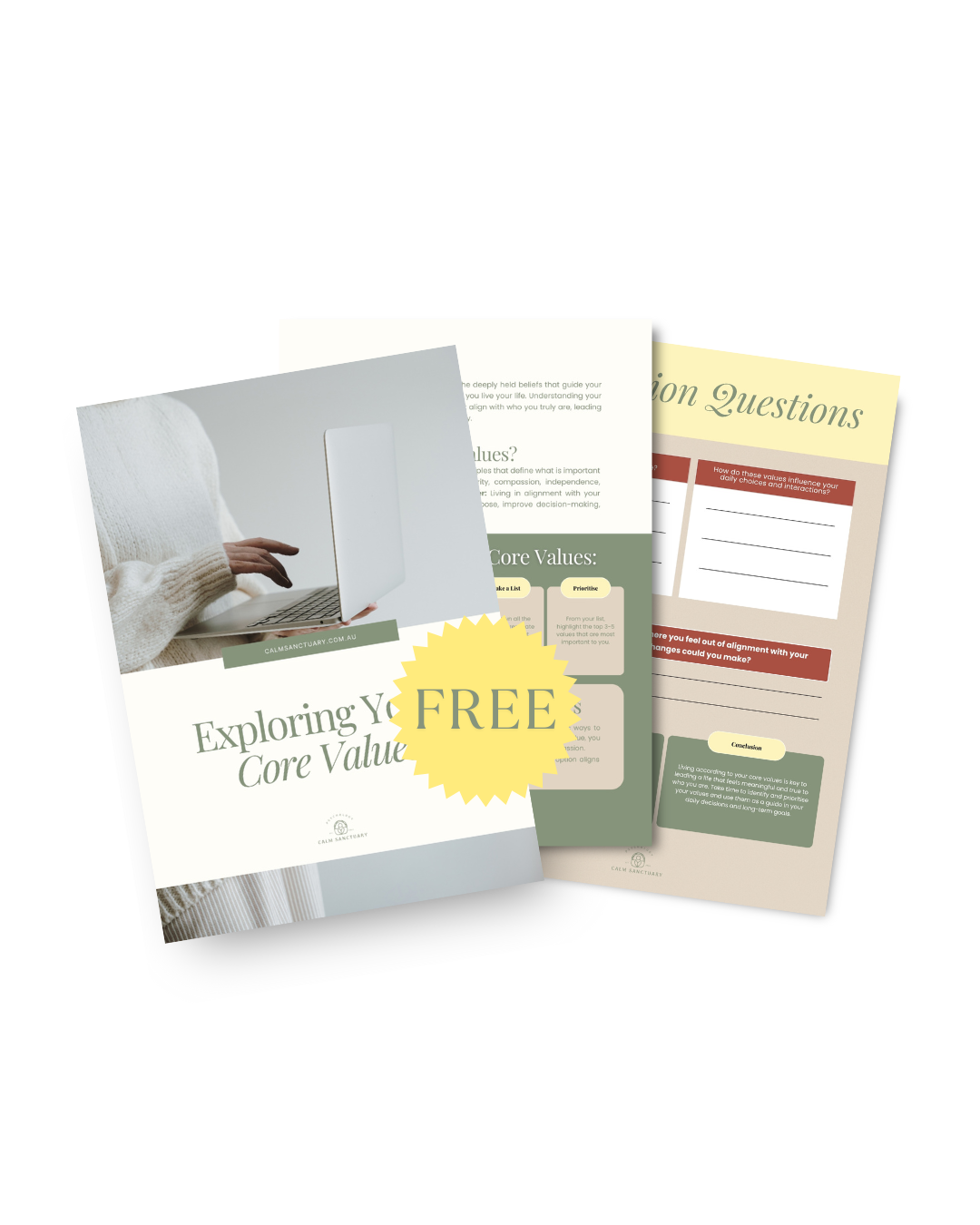 Two informational pamphlets about exploring core values, one featuring a person using a laptop.