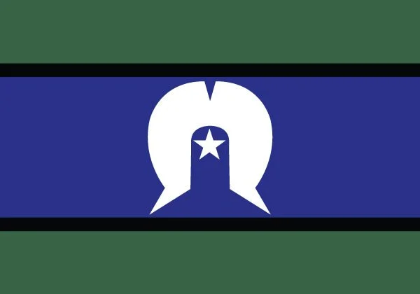 A military-style flag with a green and blue background, featuring a white silhouette of a helicopter with a star inside.