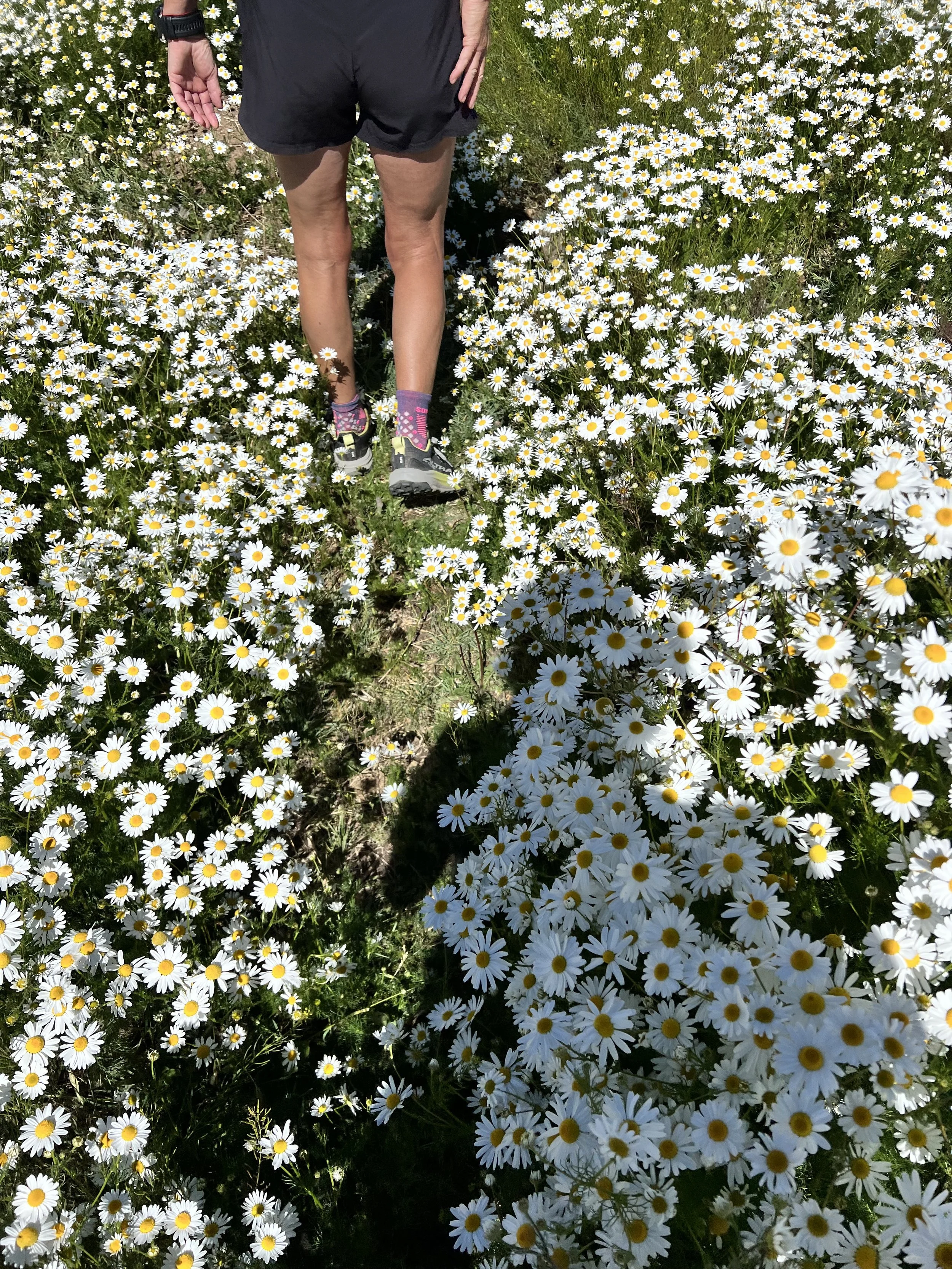 IMG_0139.jpeg