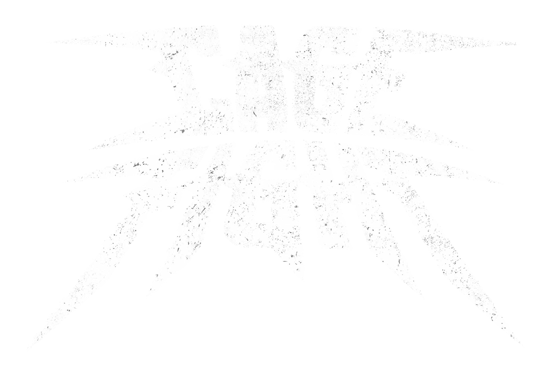 Black background with white jagged text that reads "Cage Fight".