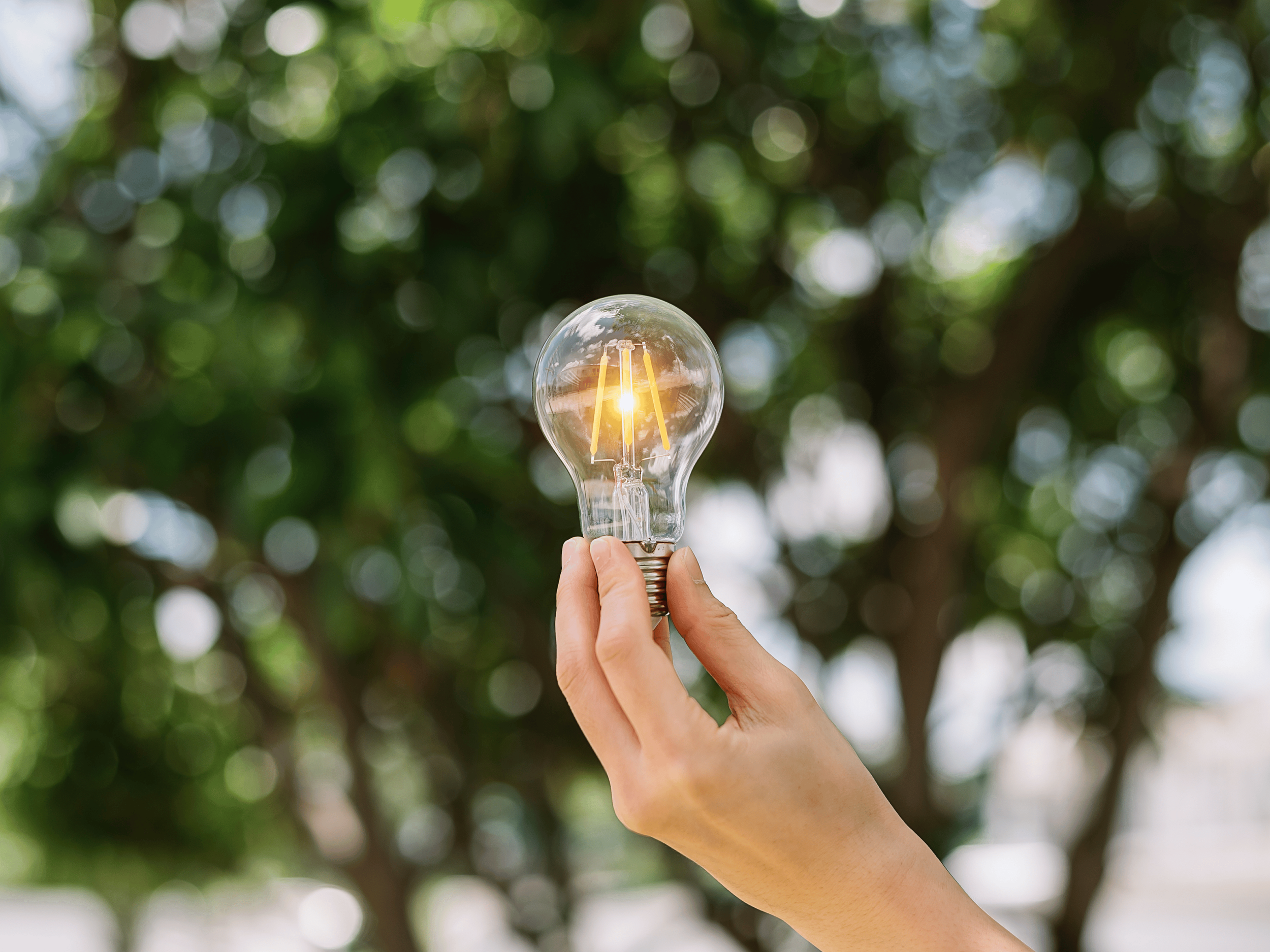 Lightbulb representing clarity through strengths-based coaching in Australia
