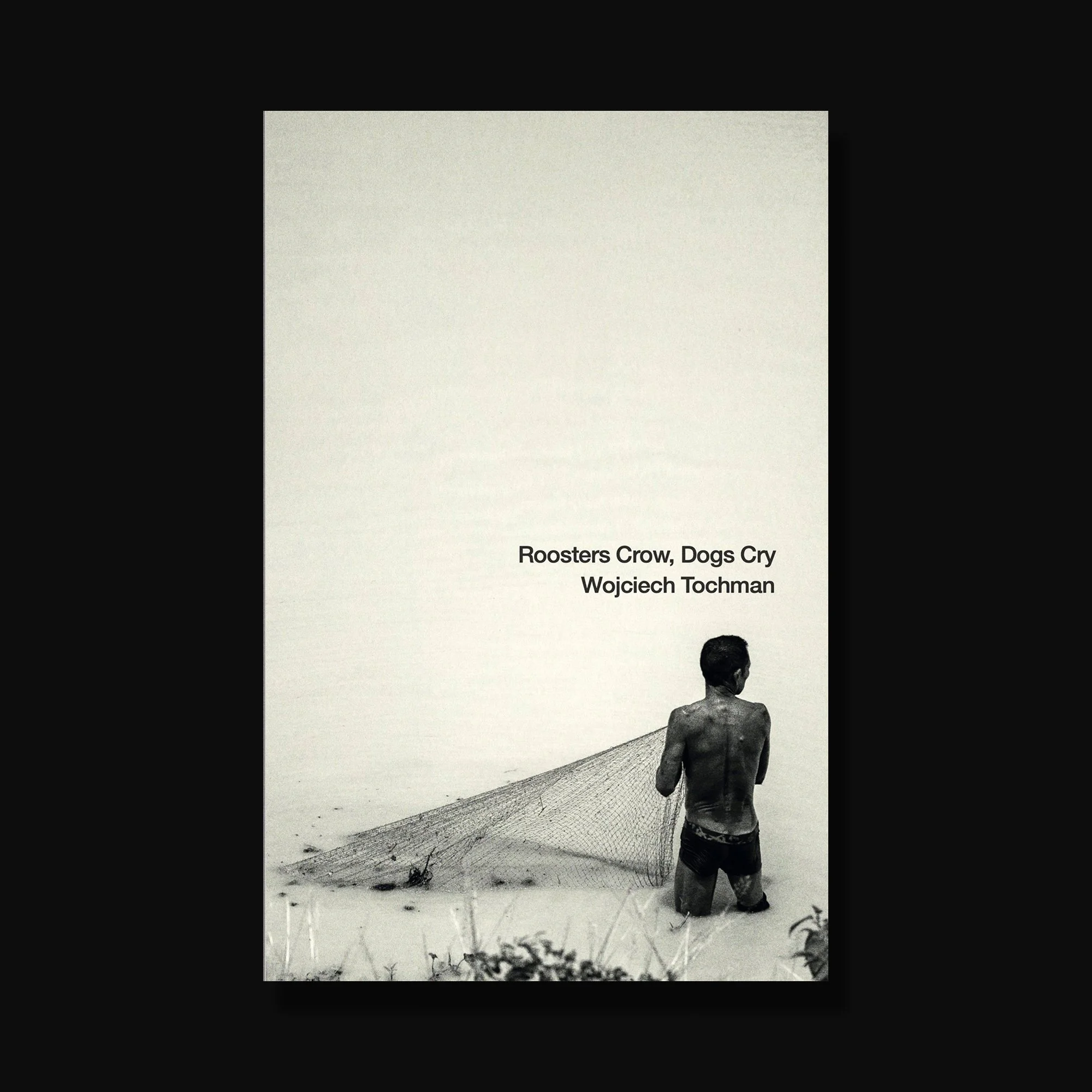 Roosters Crow, Dogs Cry | Open Letter.jpg