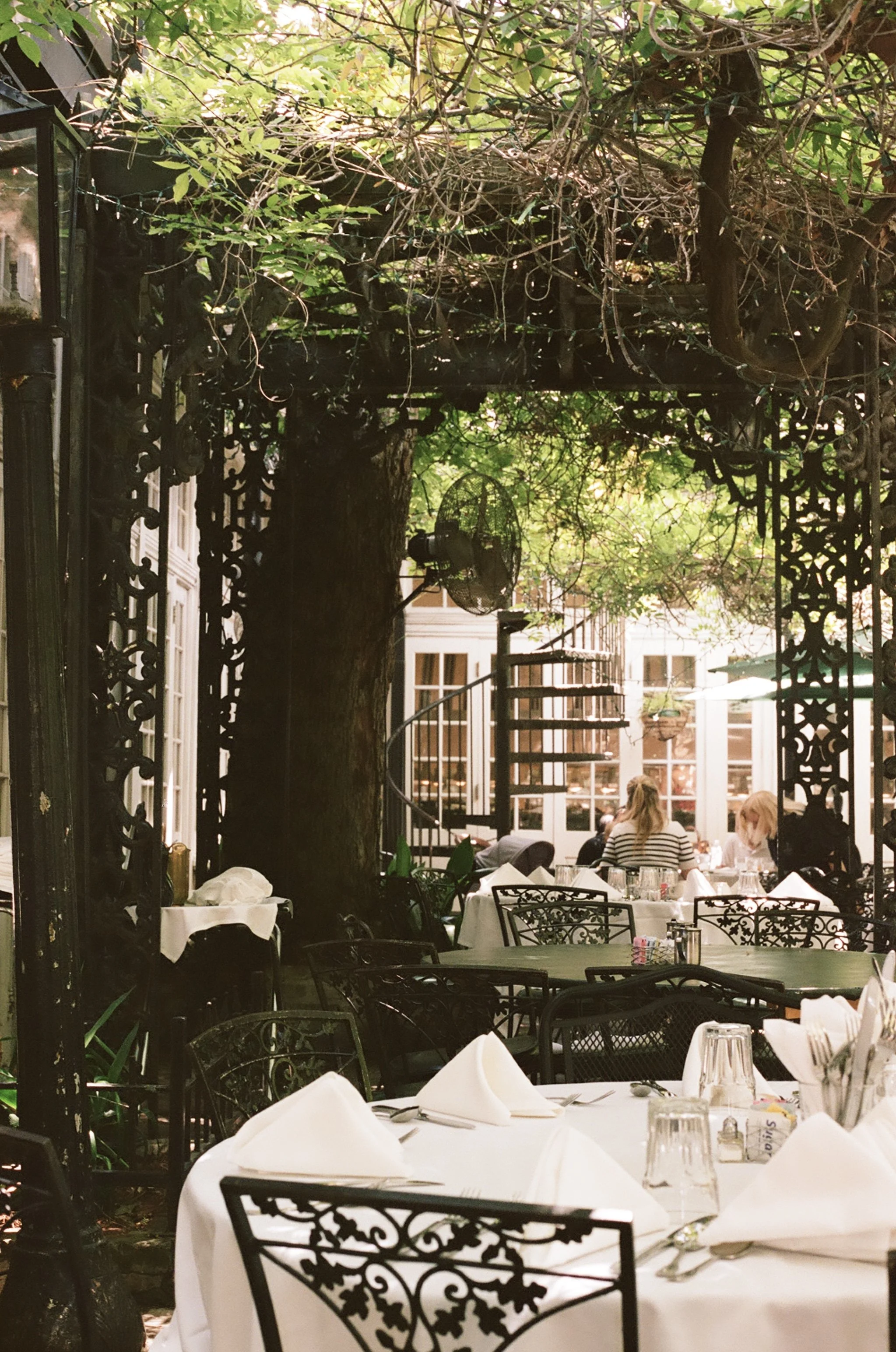 Outdoor restaurant with white tablecloth-covered tables, white napkins, and glassware. Elegant black wrought iron chairs are arranged around the tables. In the background, a large tree with leafy green foliage and intertwined branches provides shade. Some people are seated, enjoying a meal, with sunlight filtering through the leaves. The ambiance suggests a cozy and charming dining setting.
