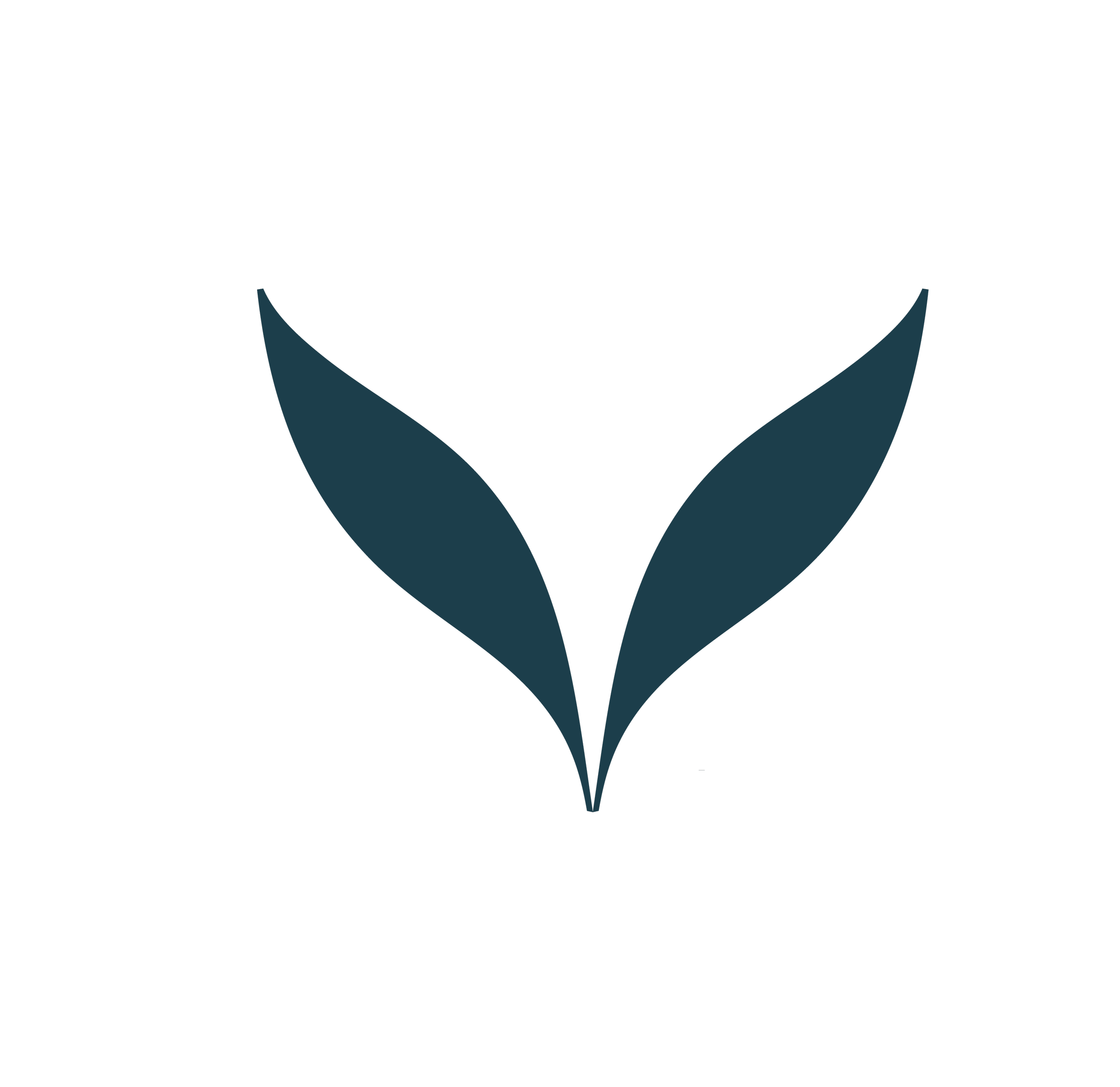 Imperial Medica Logo Icon