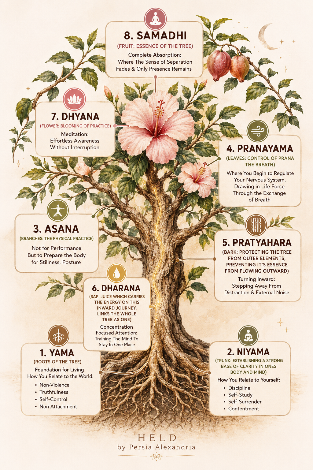 What Are the 8 Limbs of Yoga