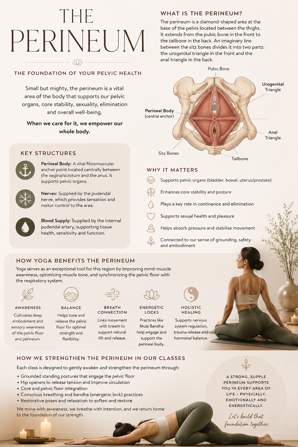The Perineum: The Forgotten Foundation of Strength, Breath &amp; Embodiment