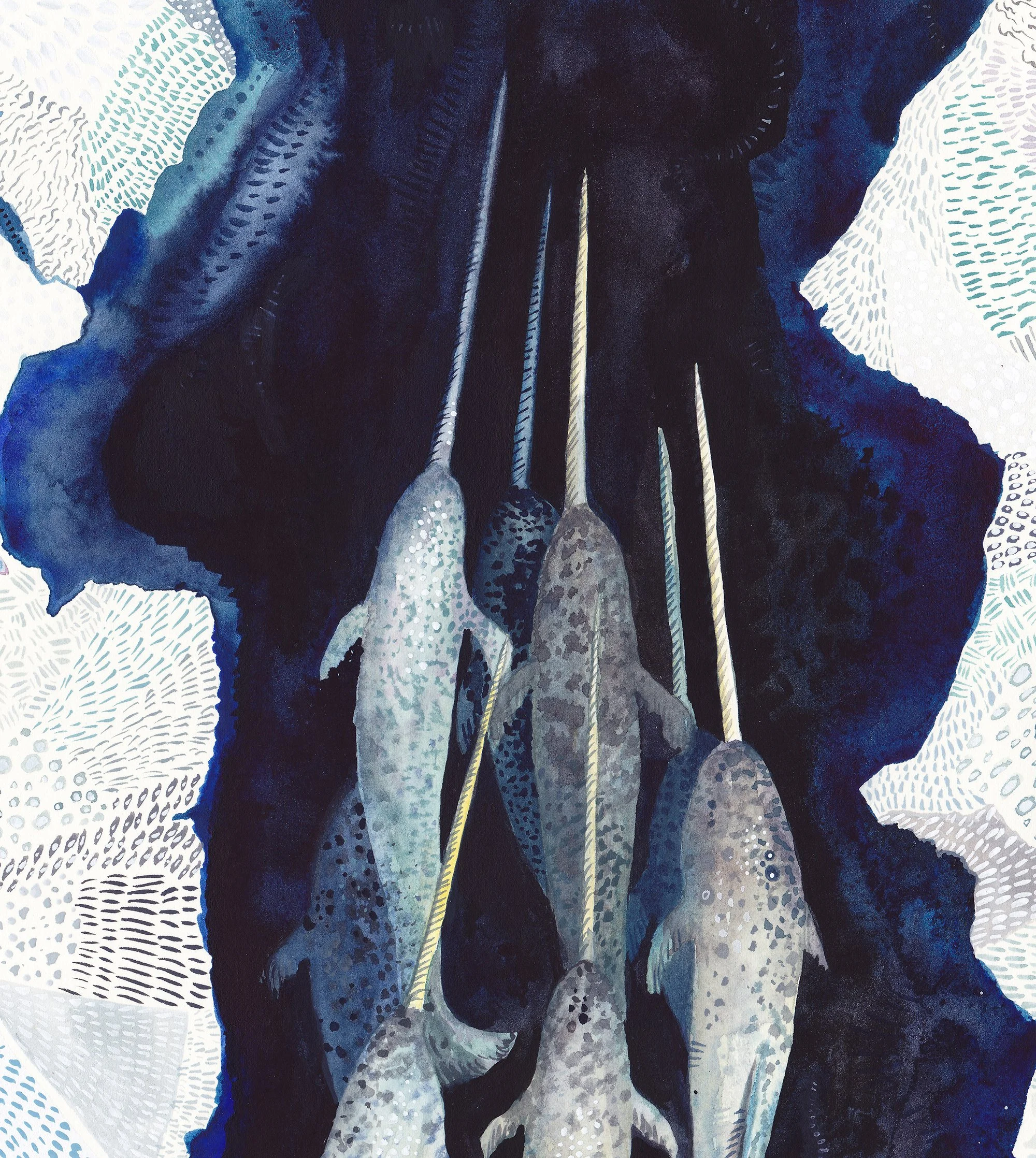 Narwhal detail 3.jpg