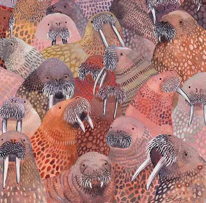 walrus-detail.jpg