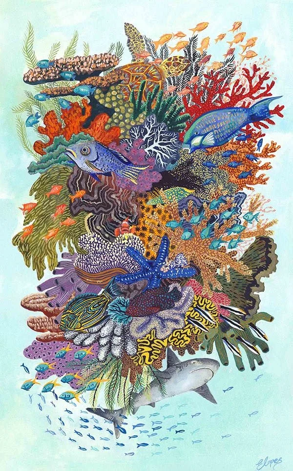 Coral Reef