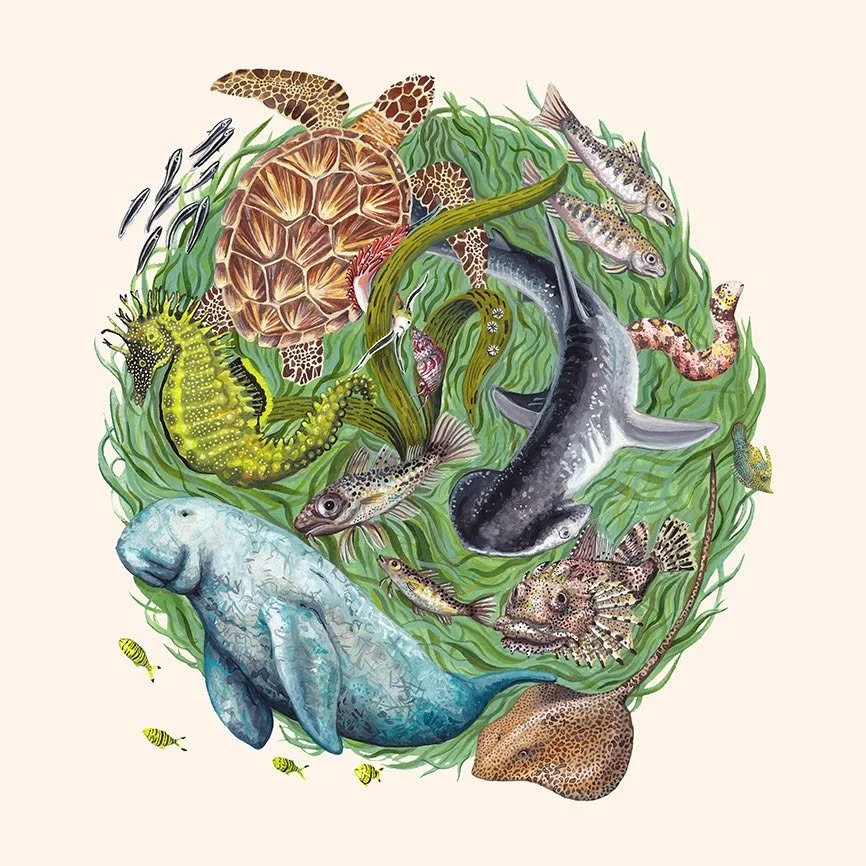 For Planet Ocean illustration collaboration with Project Seagrass