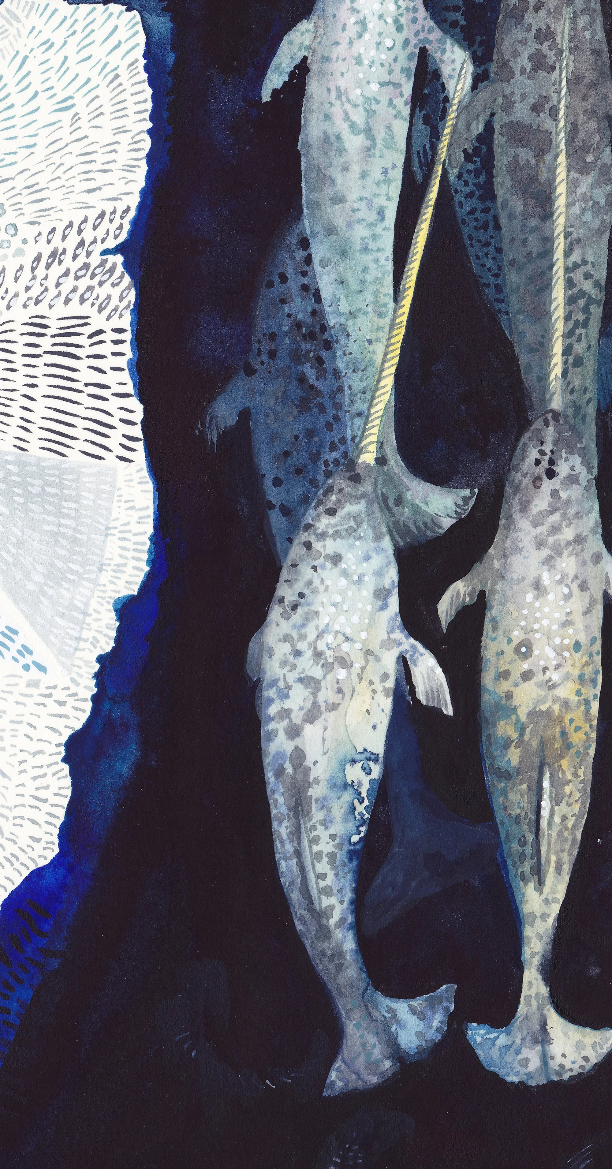 Narwhal detail 5.jpg